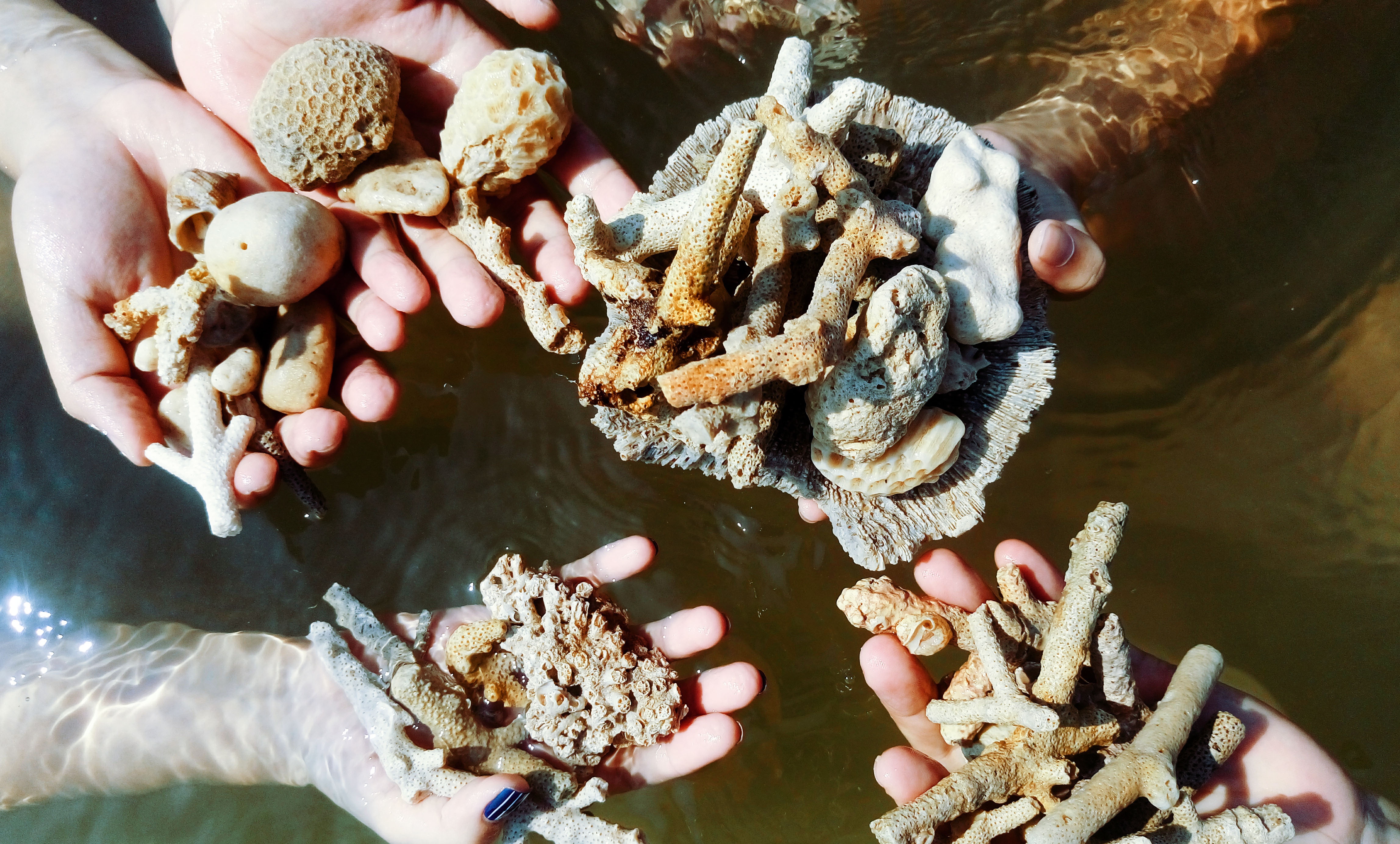 Nhung trai nghiem tuyet voi ve du lich Hai Phong hinh anh