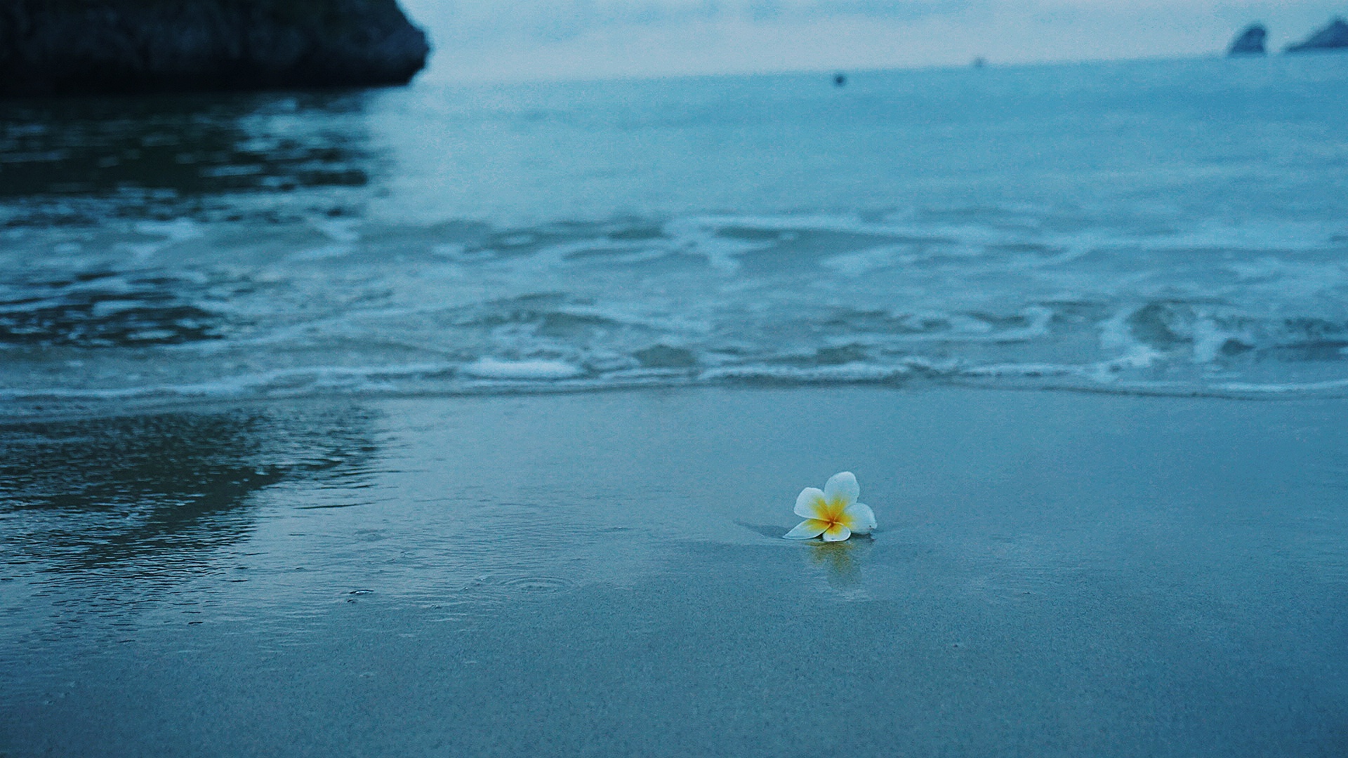 du lich hai phong anh 6