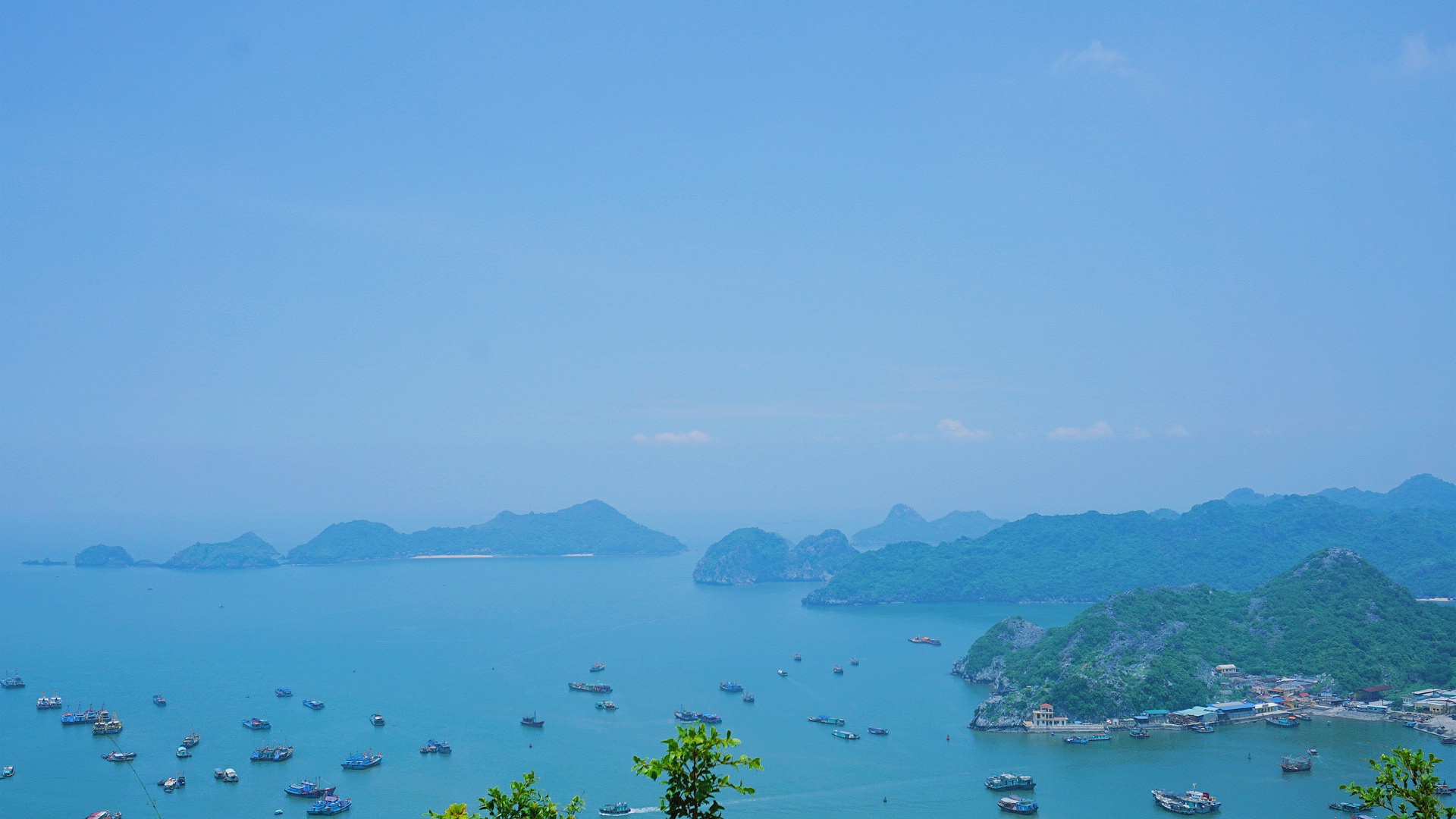 du lich hai phong anh 1