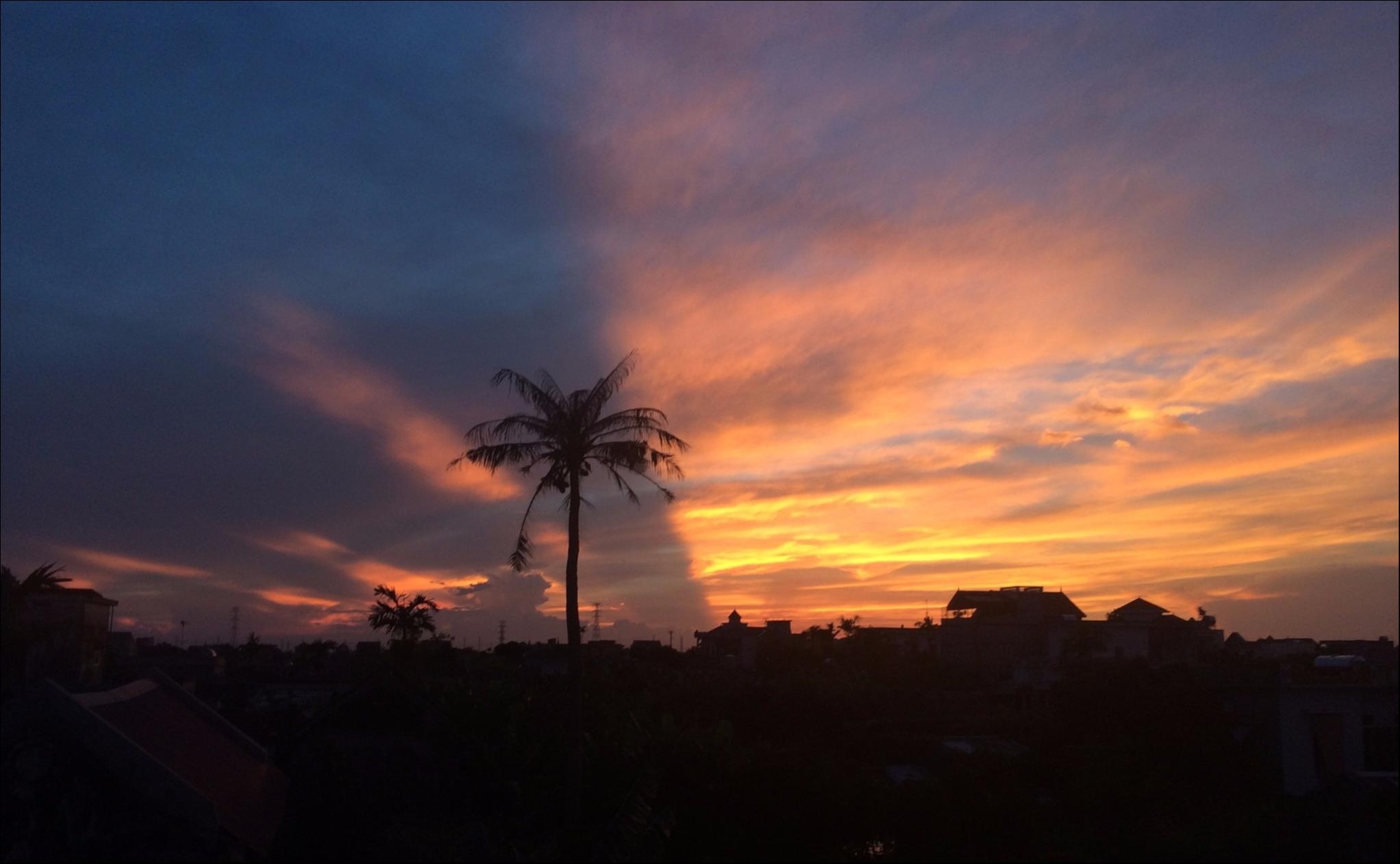 Dau an Viet Nam anh 10