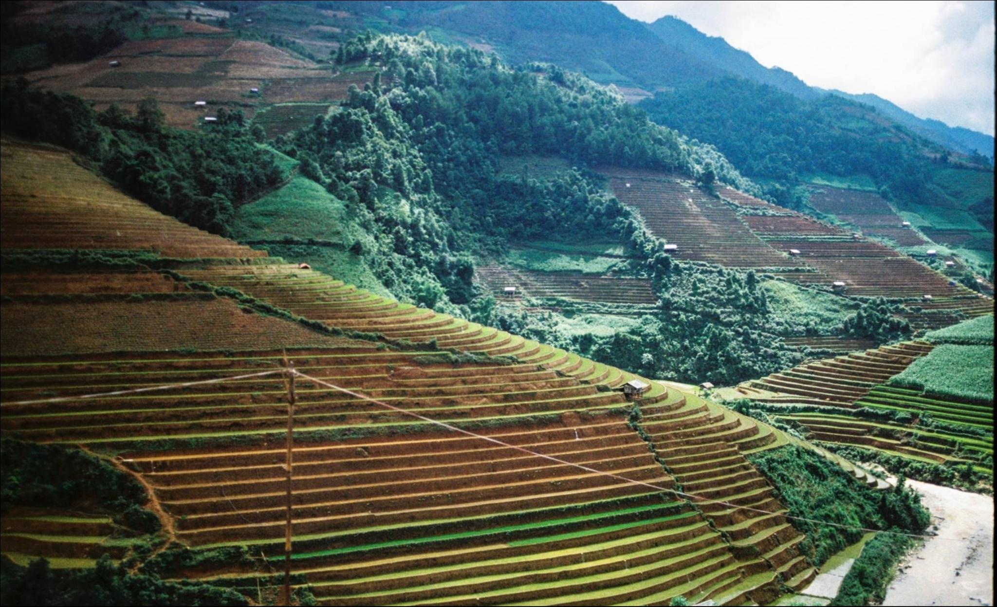 Dau an Viet Nam anh 5