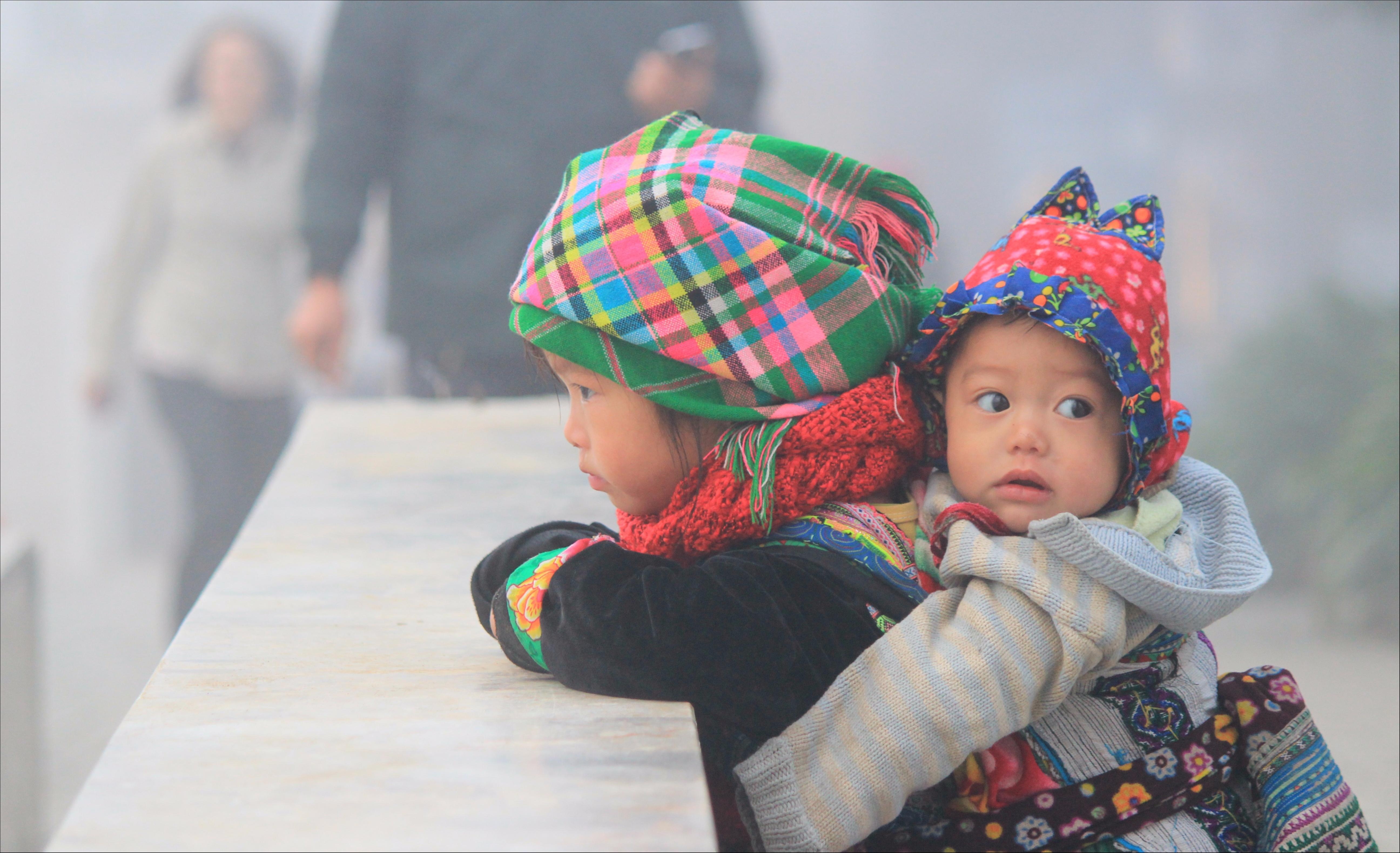 Dau an Viet Nam anh 8