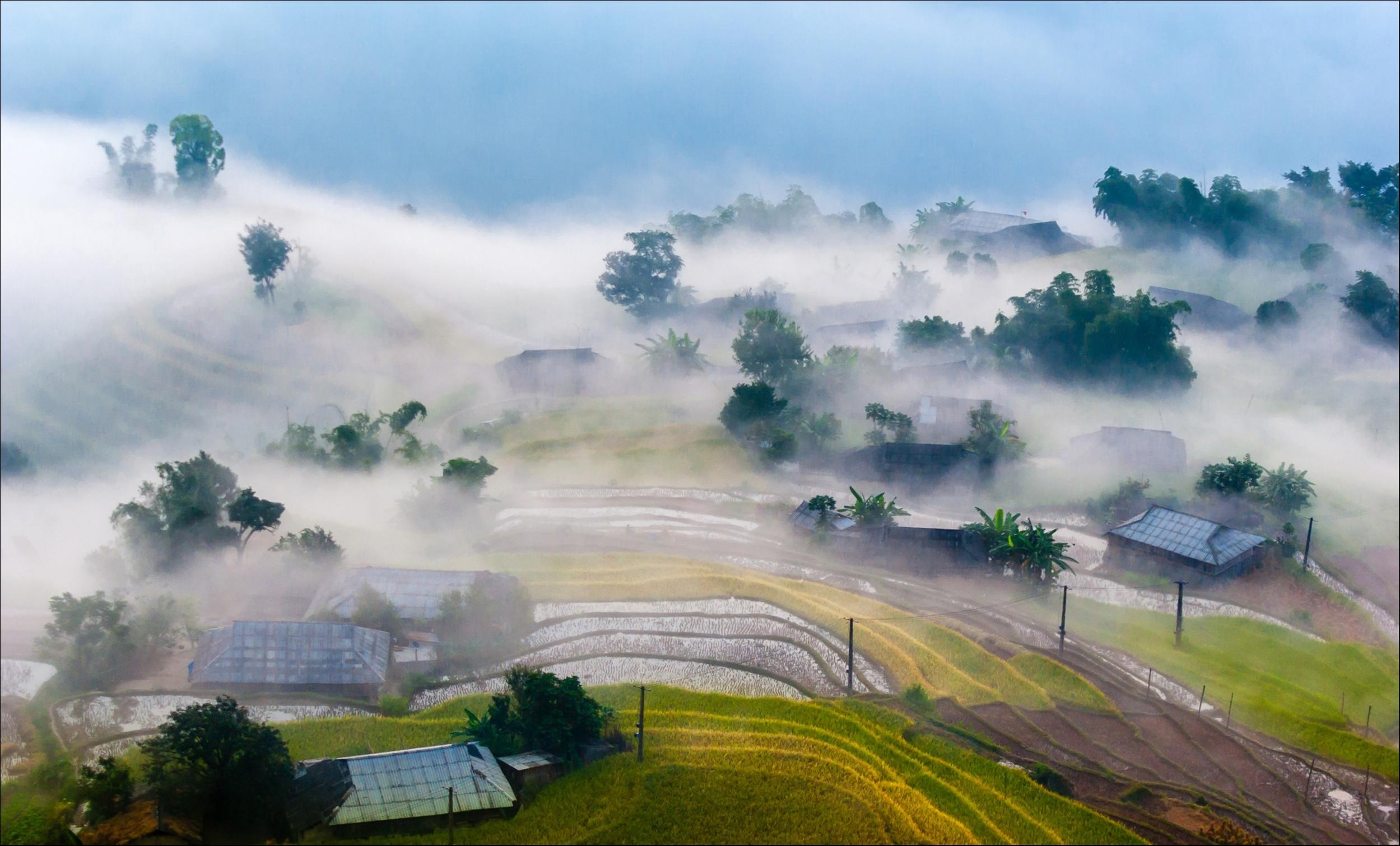 Dấu ấn Việt Nam ảnh 6 Dau an Viet Nam anh 6