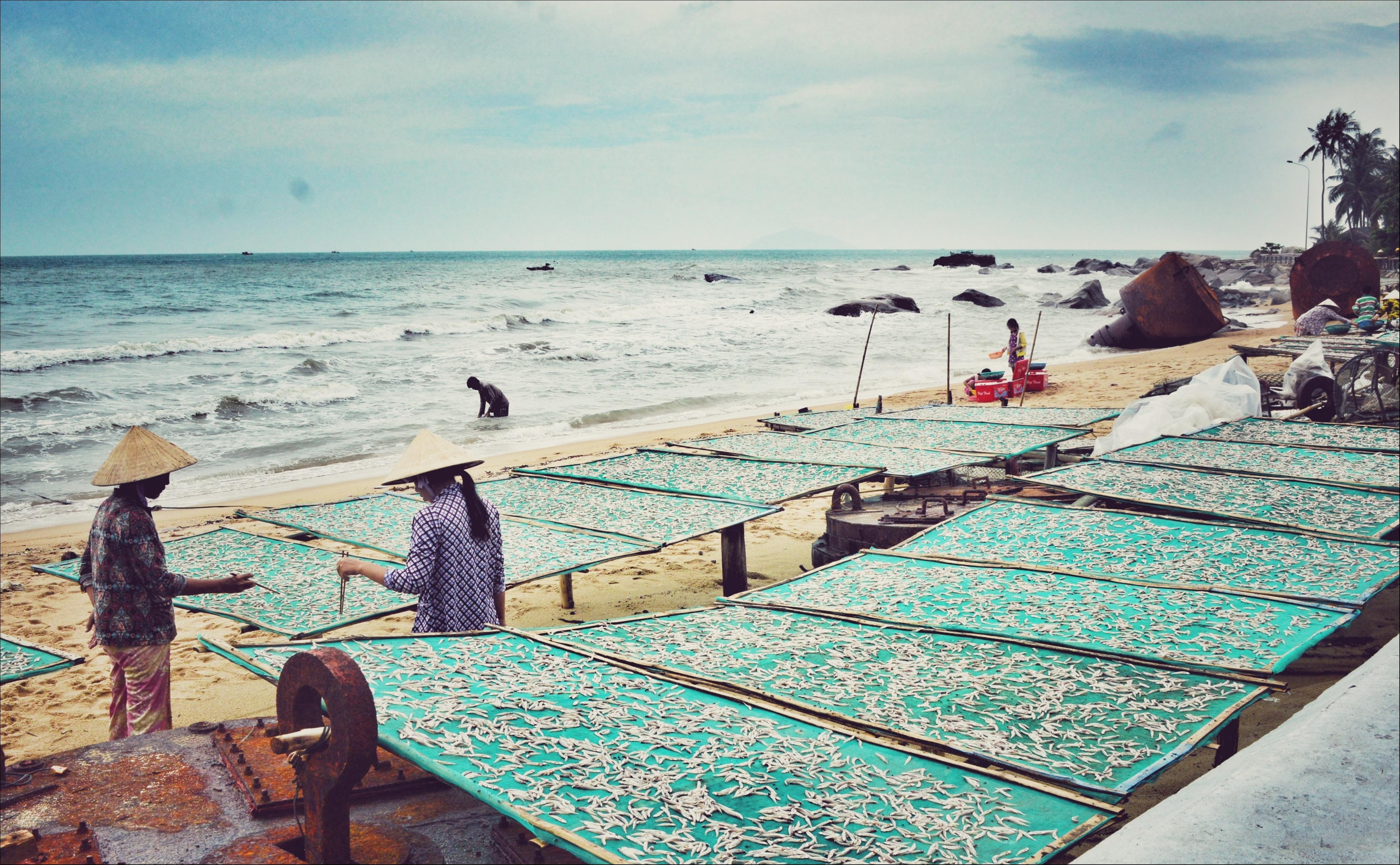 cuộc sống ngư dân làng chài trong Dấu ấn Việt Nam ảnh 15 cuoc song ngu dan lang chai trong Dau an Viet Nam anh 15