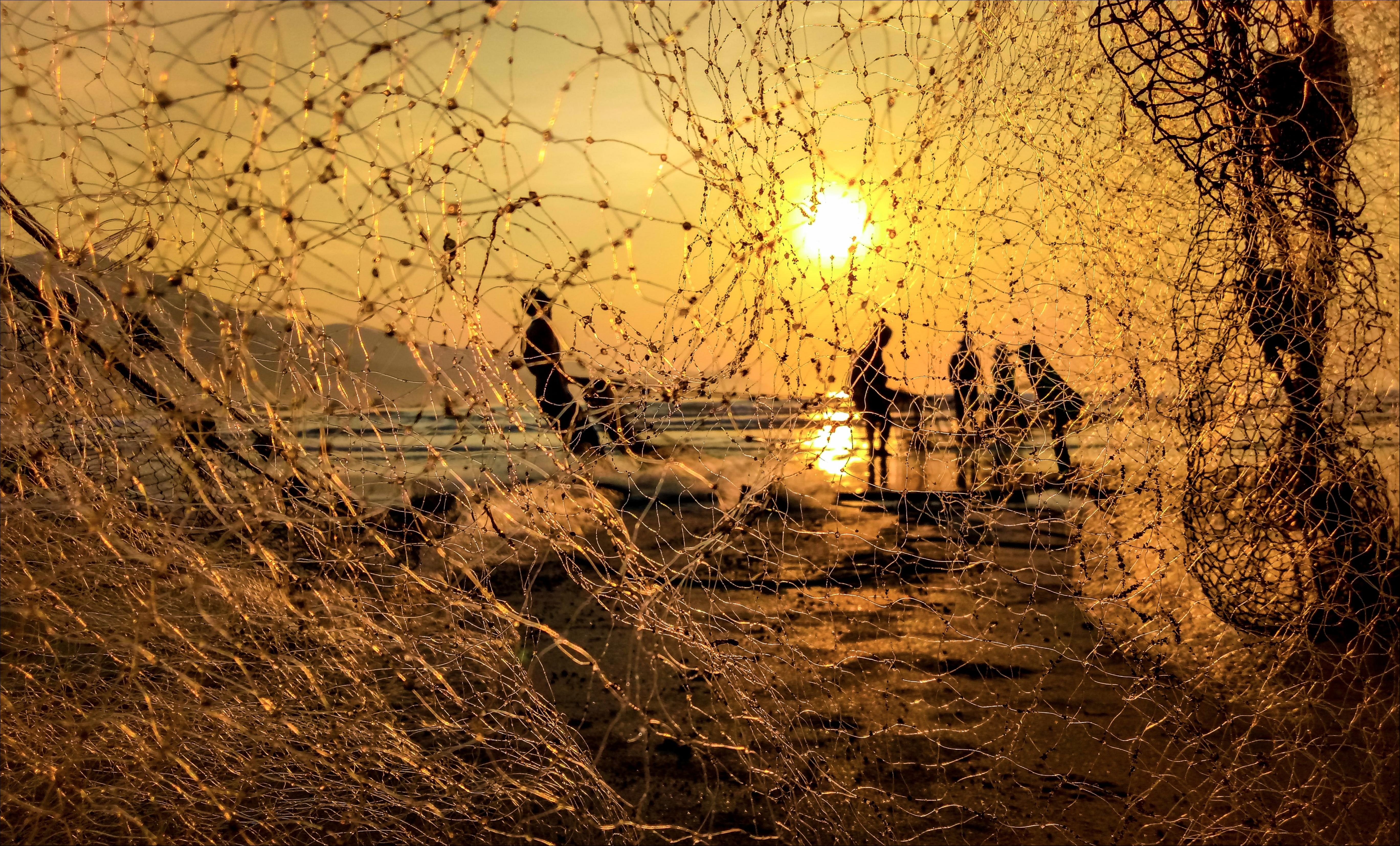 cuộc sống ngư dân làng chài trong Dấu ấn Việt Nam ảnh 10 cuoc song ngu dan lang chai trong Dau an Viet Nam anh 10