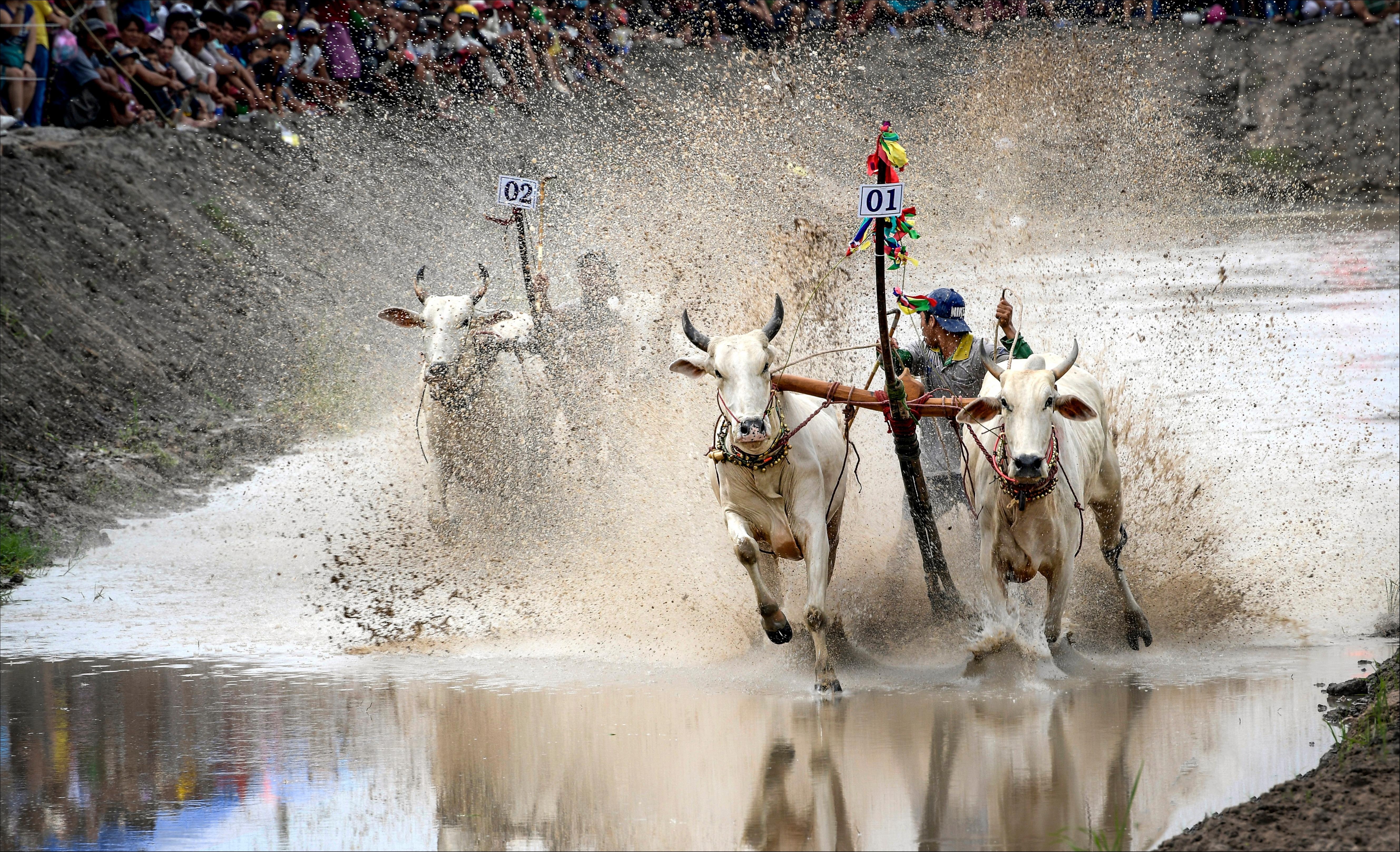 Vẻ đẹp bình dị của miền Tây Nam Bộ trong Dấu ấn Việt Nam ảnh 11 Ve dep binh di cua mien Tay Nam Bo trong Dau an Viet Nam anh 11