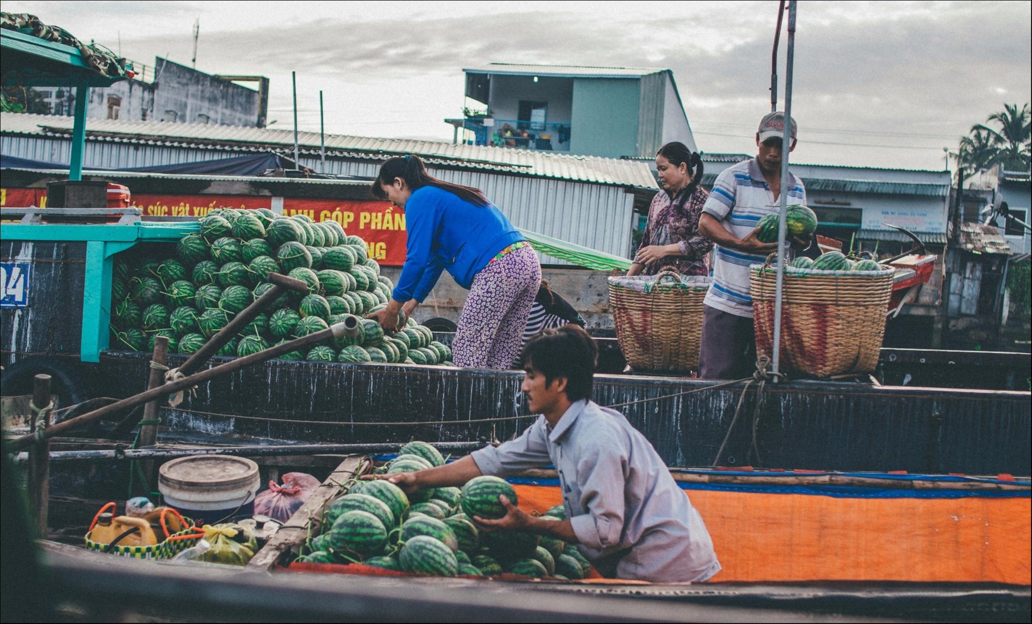 Vẻ đẹp bình dị của miền Tây Nam Bộ trong Dấu ấn Việt Nam ảnh 2 Ve dep binh di cua mien Tay Nam Bo trong Dau an Viet Nam anh 2