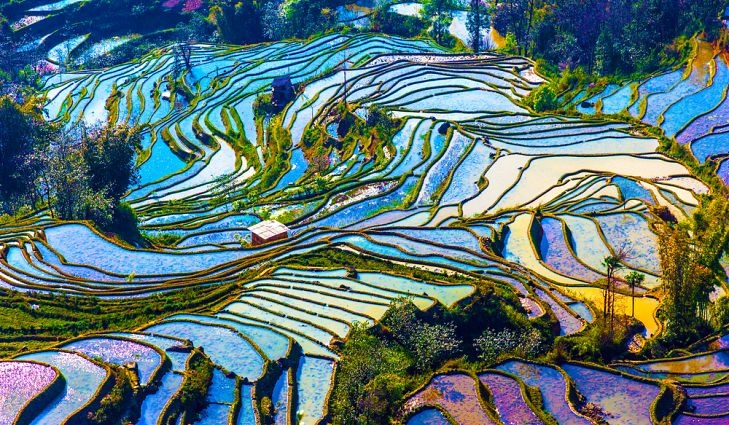 Ruộng bậc thang tuyệt đẹp ở châu Á ảnh 1 Ruong bac thang tuyet dep o chau A anh 1