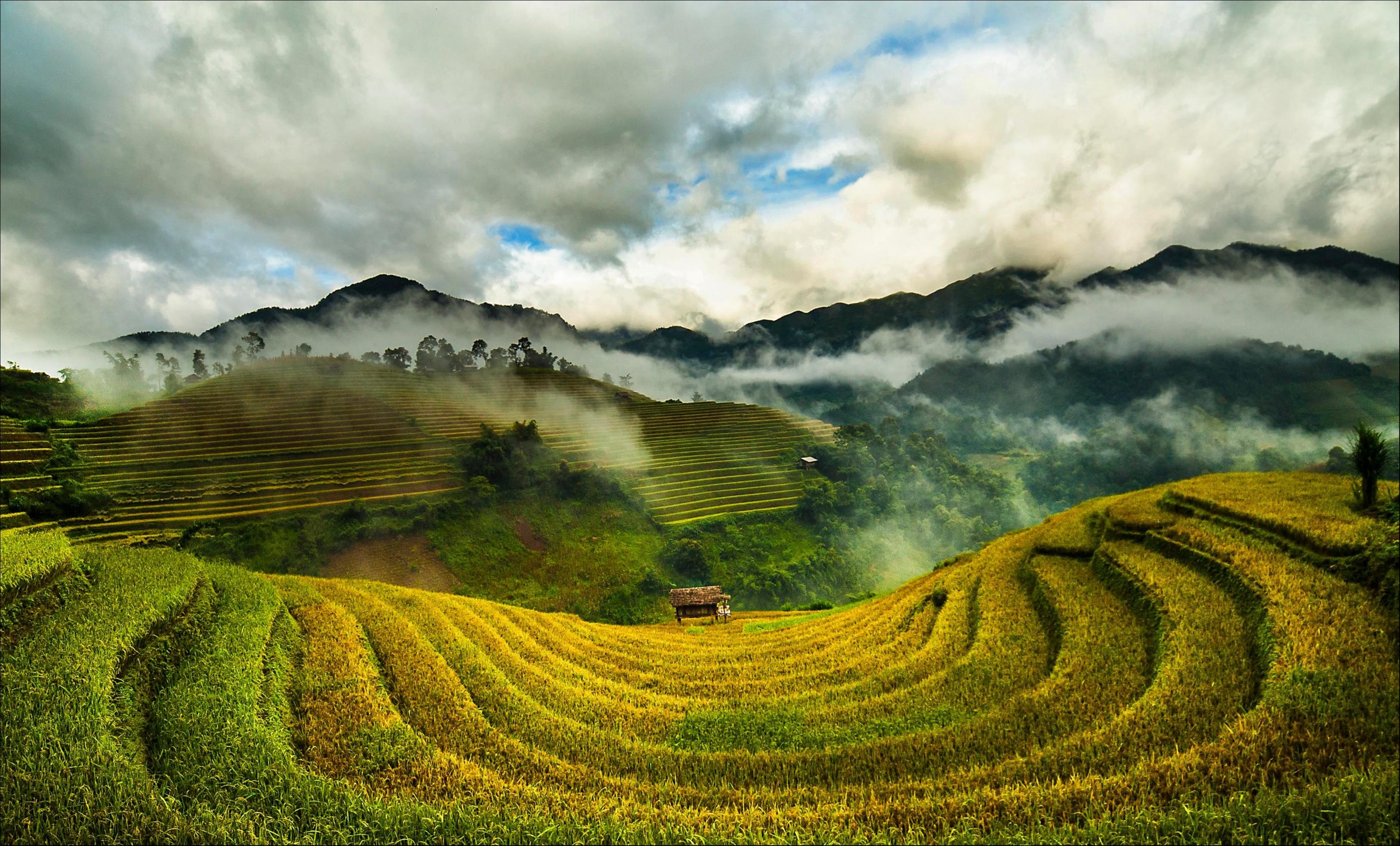 Tay Bac mua lua chin ruc ro sac vang trong anh 'Dau an Viet Nam' hinh anh