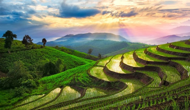 Ruộng bậc thang tuyệt đẹp ở châu Á ảnh 3 Ruong bac thang tuyet dep o chau A anh 3