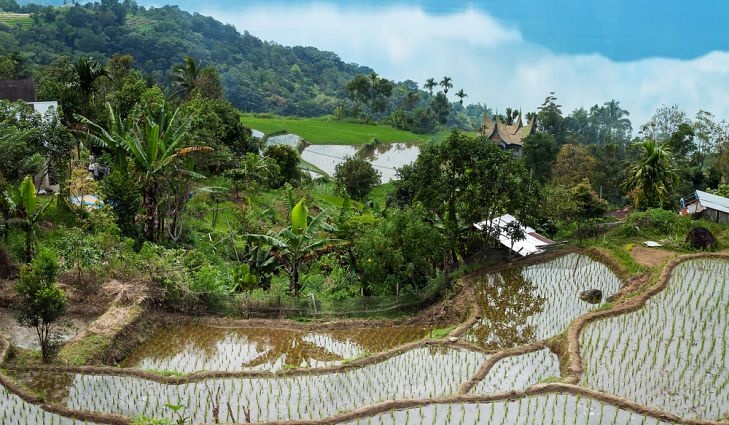 Ruộng bậc thang tuyệt đẹp ở châu Á ảnh 4 Ruong bac thang tuyet dep o chau A anh 4