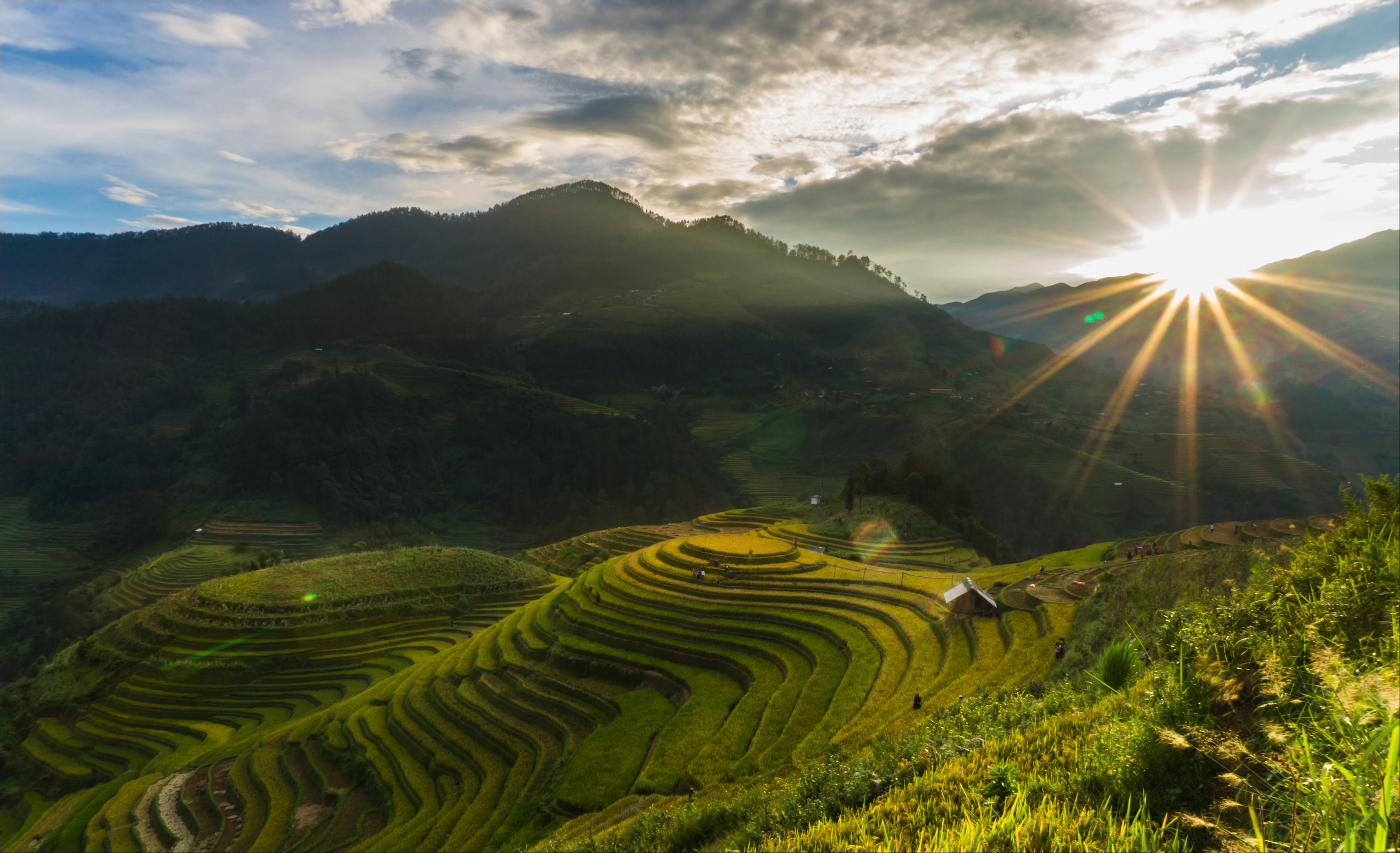 Tay Bac mua lua chin trong anh 'Dau an Viet Nam' anh 6