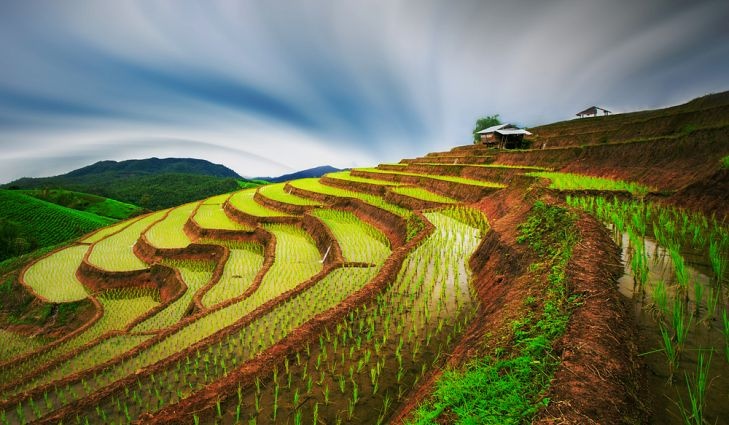 Ruộng bậc thang tuyệt đẹp ở châu Á ảnh 6 Ruong bac thang tuyet dep o chau A anh 6