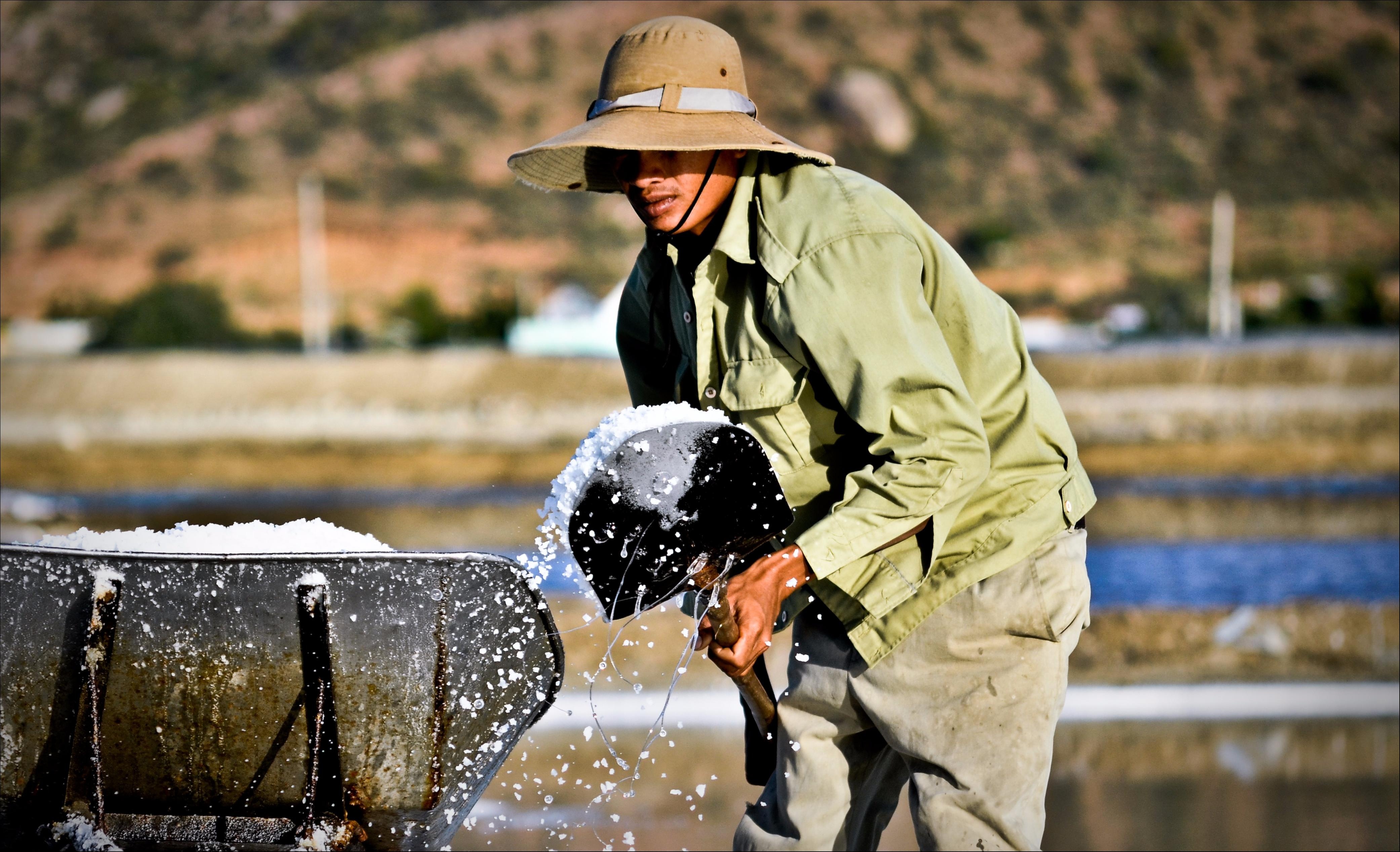 Dau an Ninh Thuan tren dai dat hinh chu S hinh anh