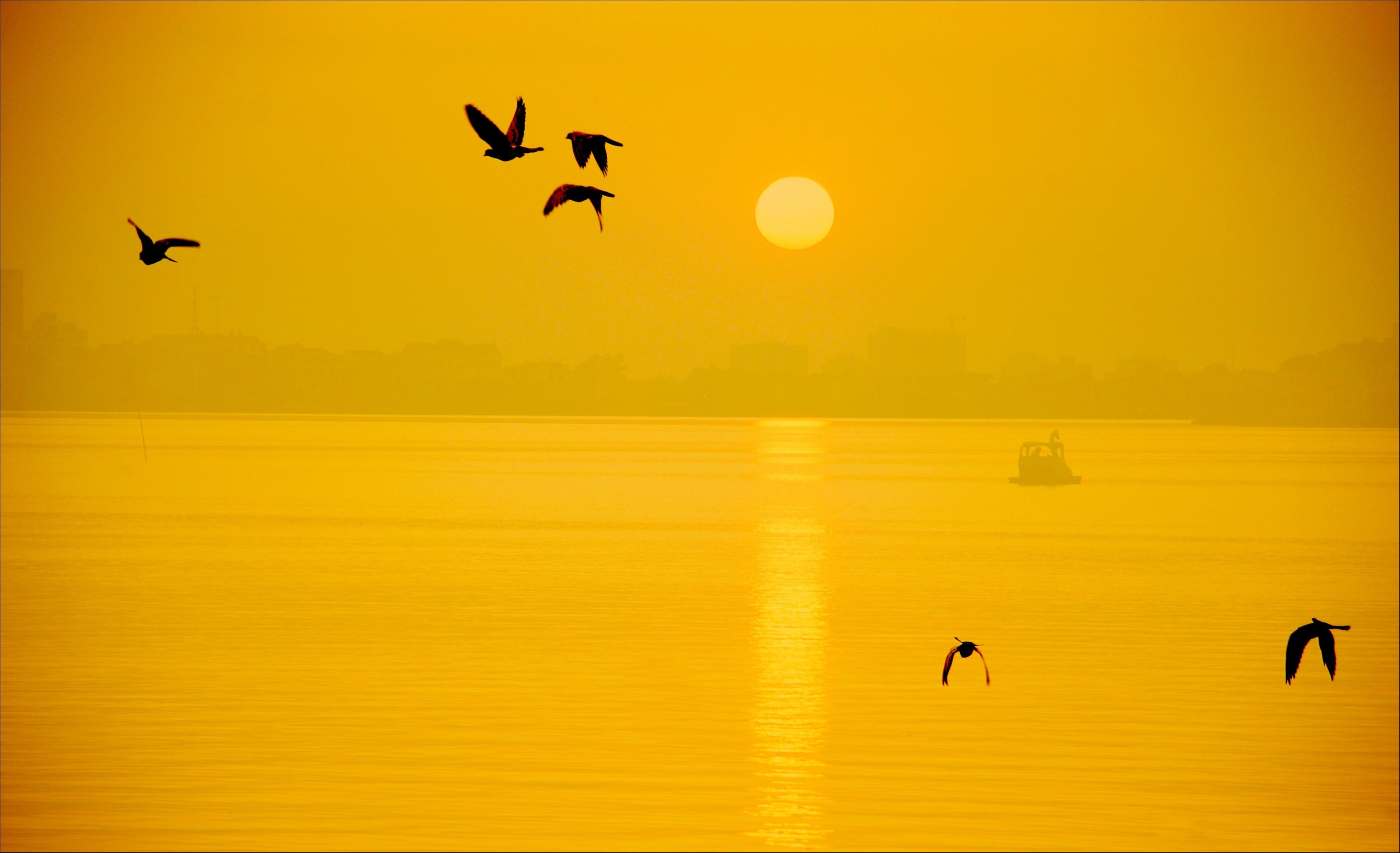 Dấu ấn Việt Nam ảnh 11 Dau an Viet Nam anh 11