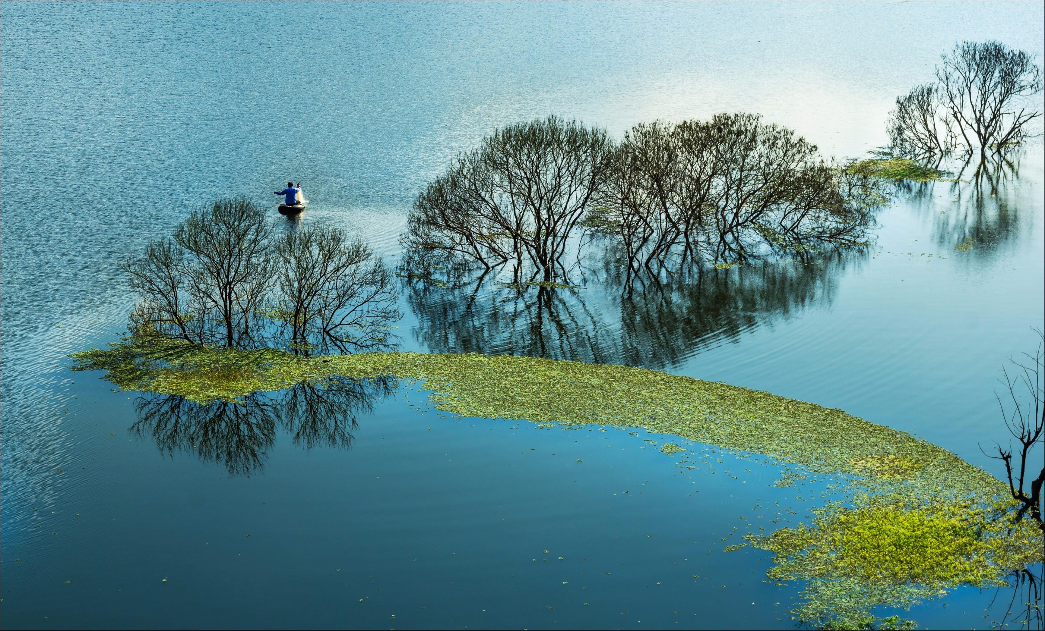 Dấu ấn Việt Nam ảnh 7 Dau an Viet Nam anh 7