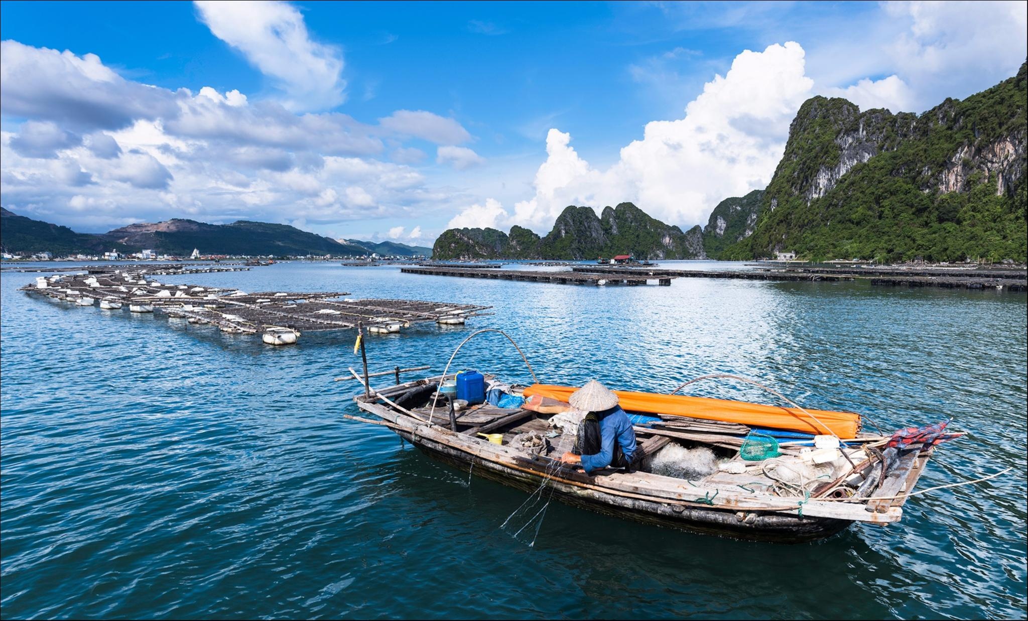 Hạ Long nhìn từ trên cao trong dấu ấn Việt Nam ảnh 12 Ha Long nhin tu tren cao trong dau an Viet Nam anh 12