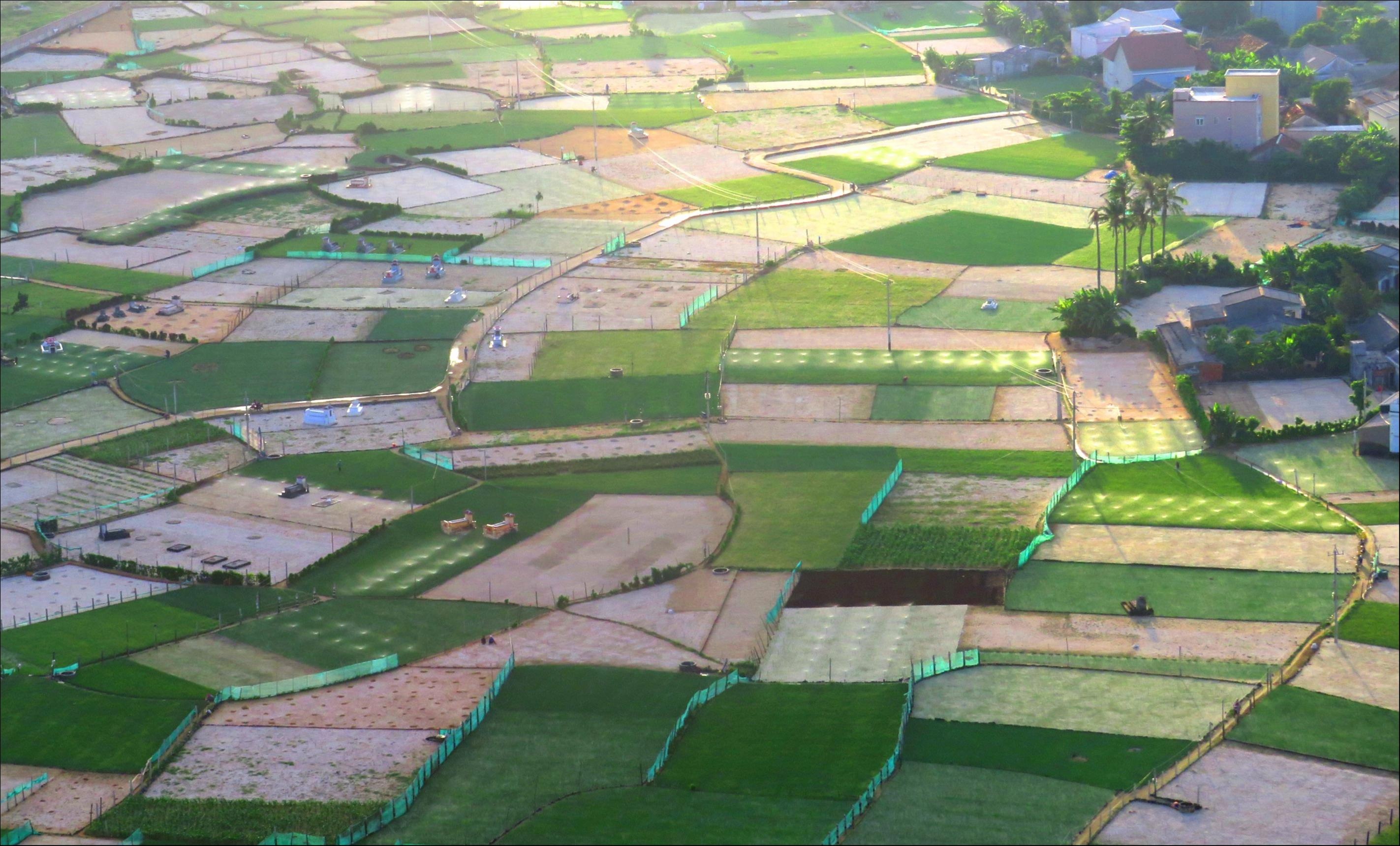 Dao Ly Son tuyet dep trong bo anh dau an Viet Nam anh 9