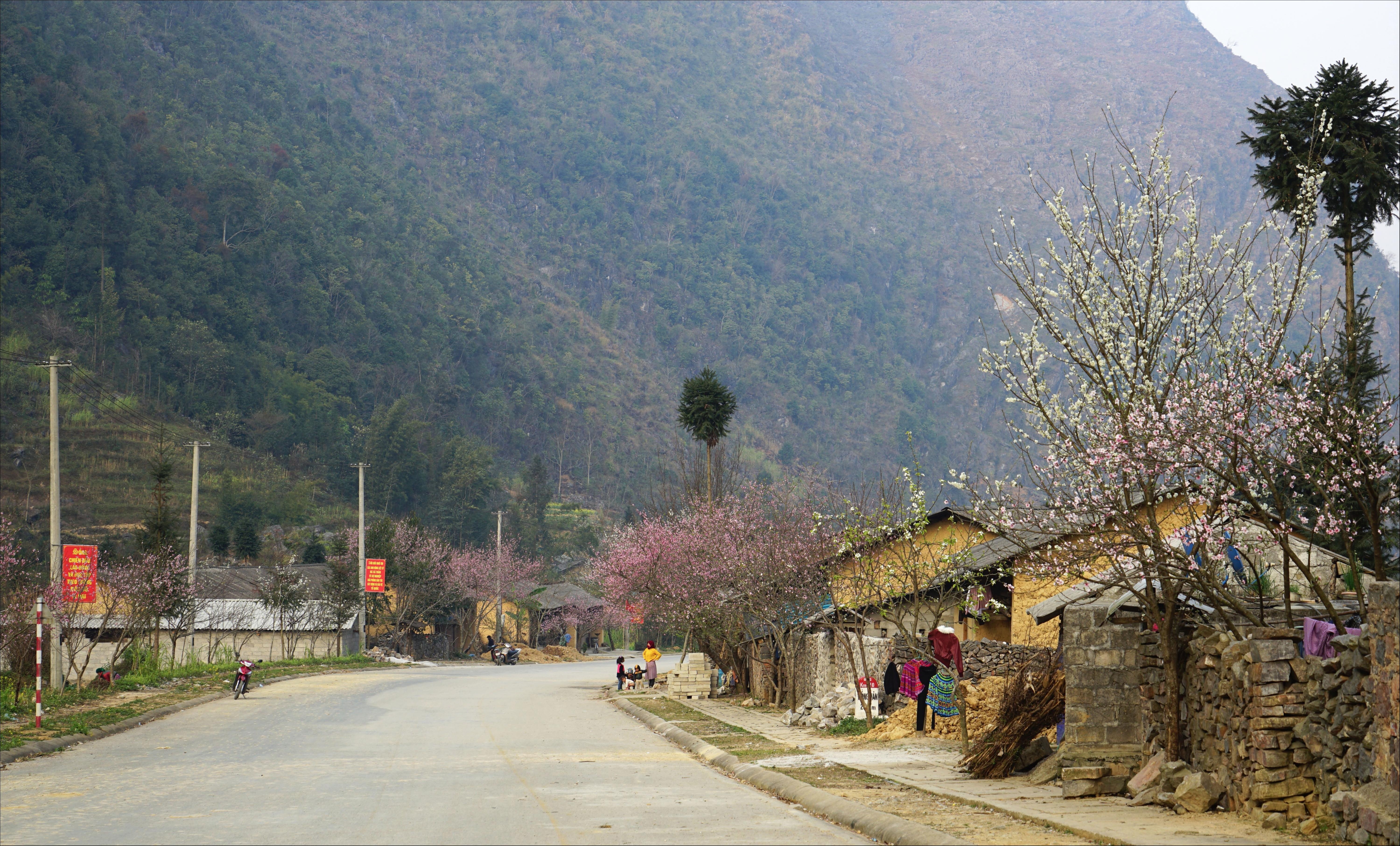 Xuan ve tren mien nui trong anh Dau an Viet Nam anh 4