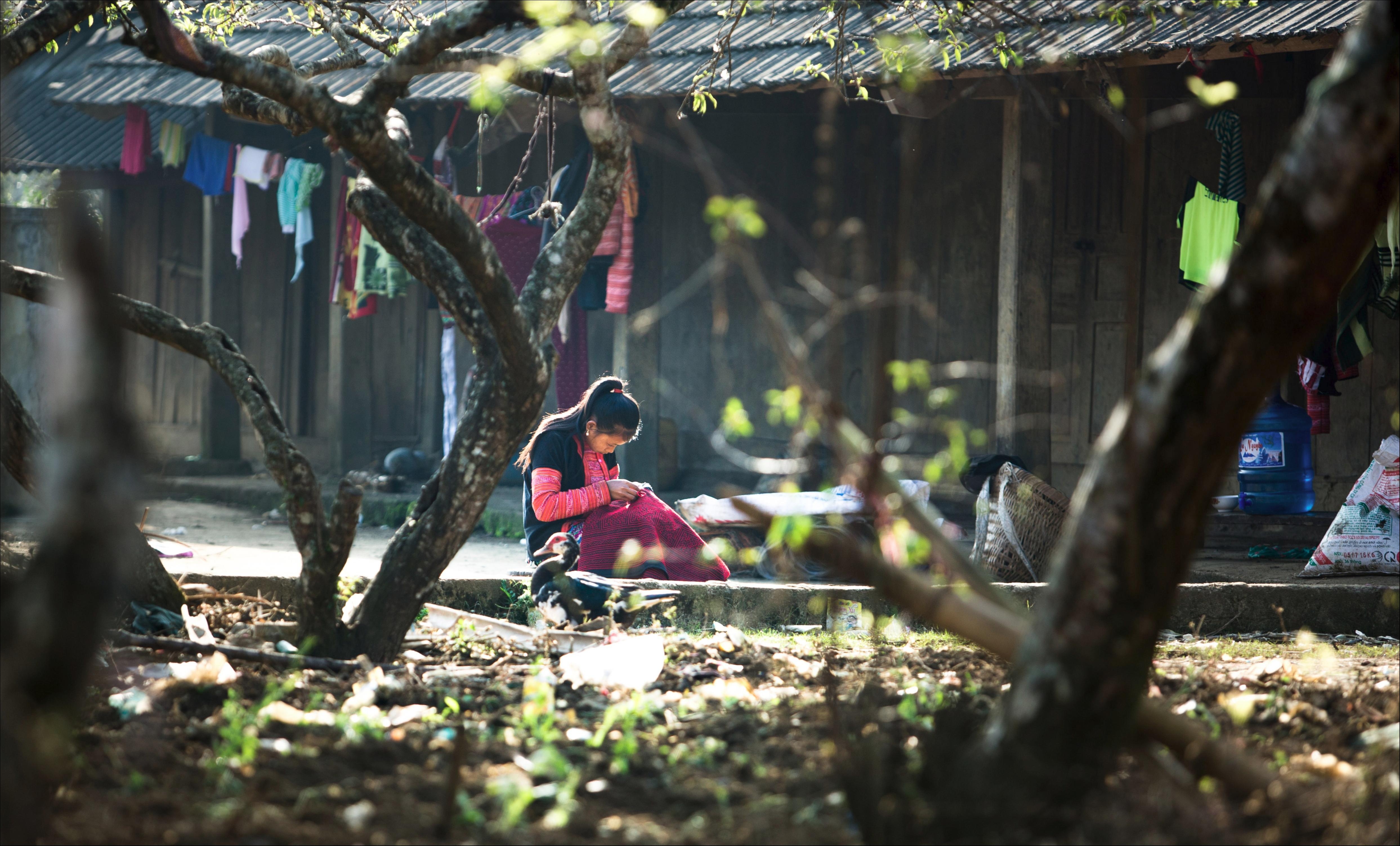 Xuan ve tren mien nui trong anh Dau an Viet Nam anh 7