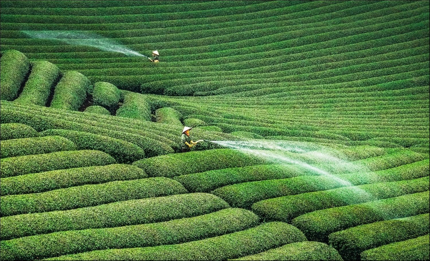 Xuan ve tren mien nui trong anh Dau an Viet Nam anh 8