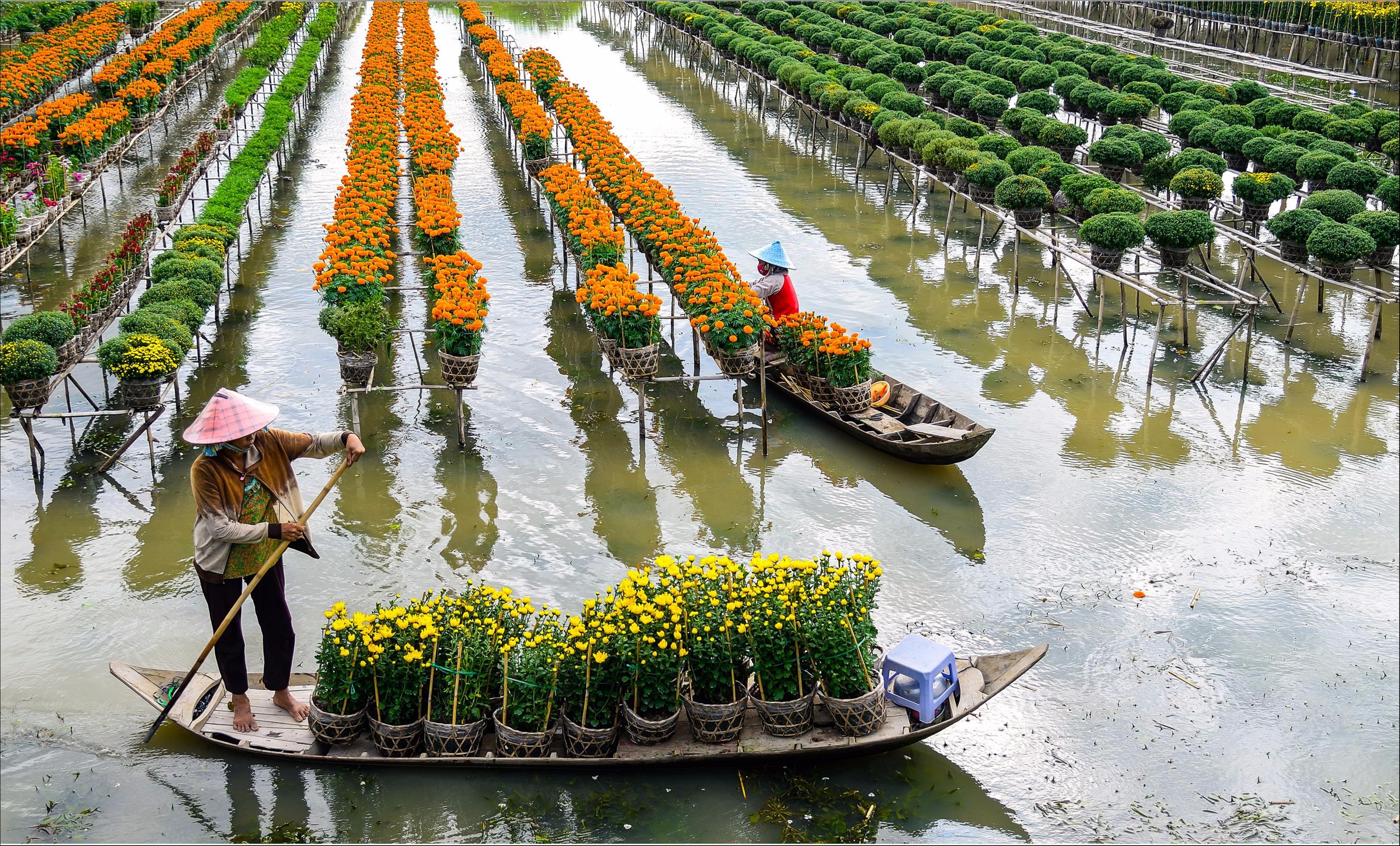 Làng hoa Sa Đéc vào mùa xuân trong Dấu ấn Việt Nam ảnh 8 Lang hoa Sa Dec vao mua xuan trong Dau an Viet Nam anh 8