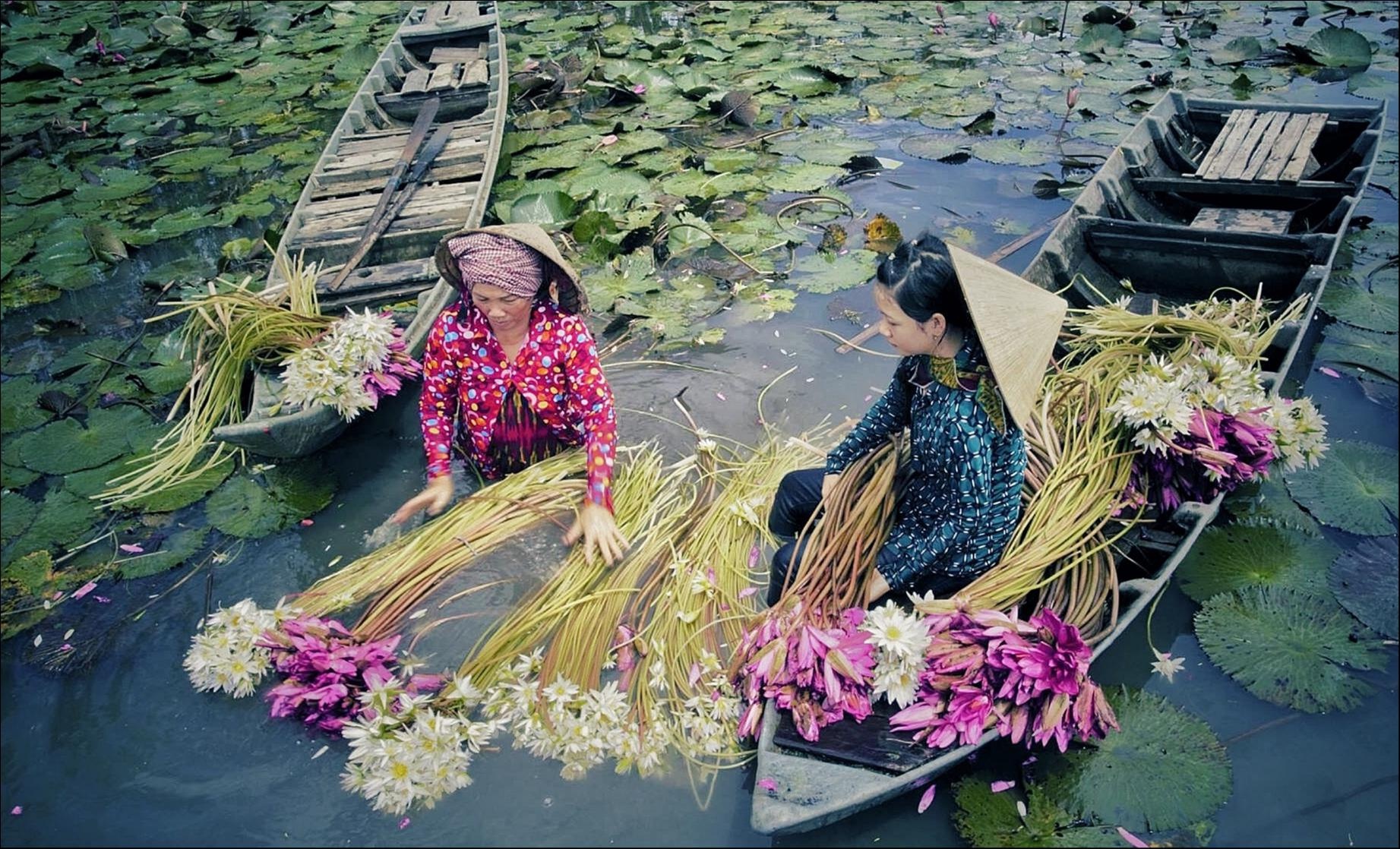 Những mùa hoa tuyệt đẹp trong bộ ảnh Dấu ấn Việt Nam ảnh 10 Nhung mua hoa tuyet dep trong bo anh Dau an Viet Nam anh 10