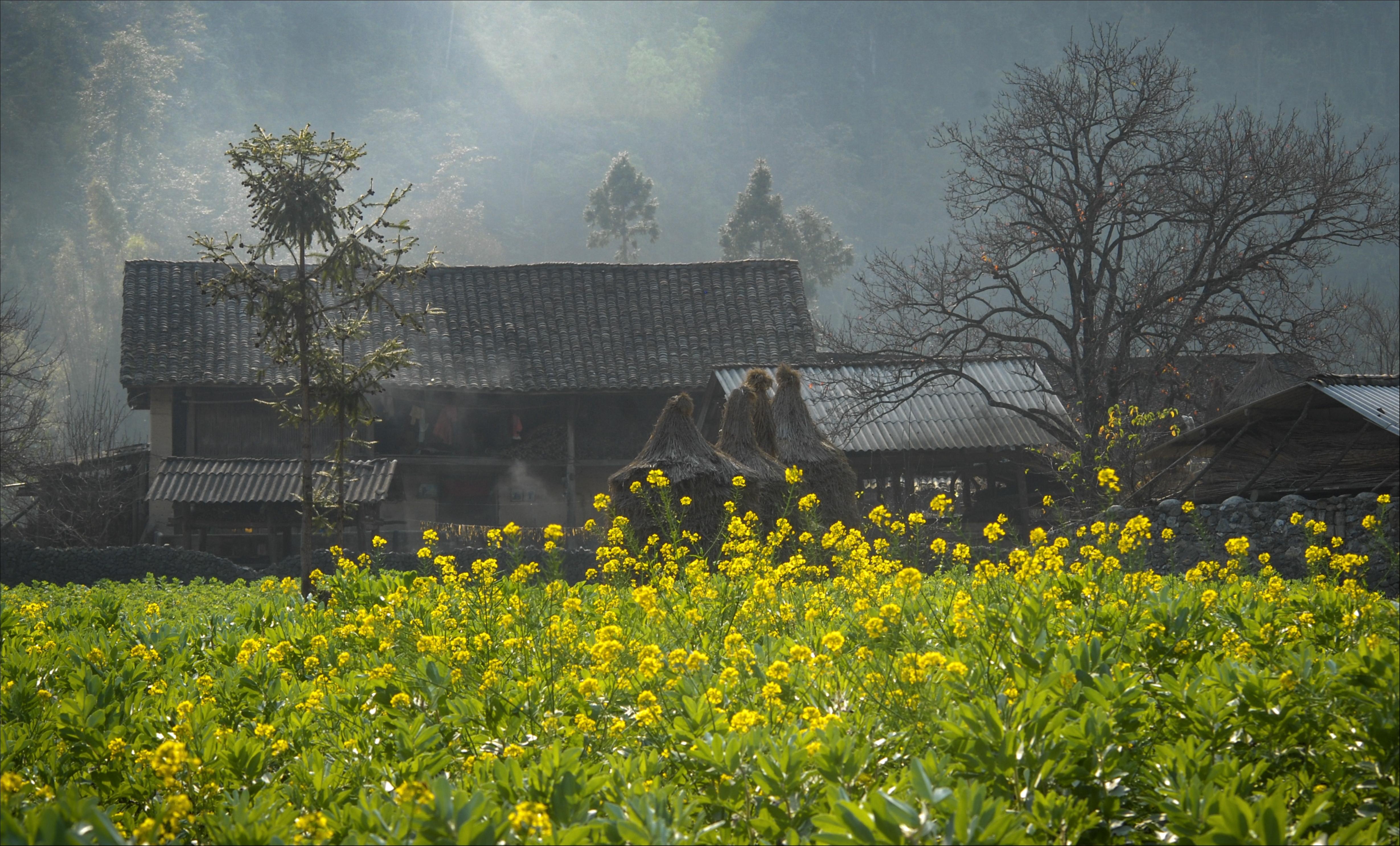 Những mùa hoa tuyệt đẹp trong bộ ảnh Dấu ấn Việt Nam ảnh 12 Nhung mua hoa tuyet dep trong bo anh Dau an Viet Nam anh 12