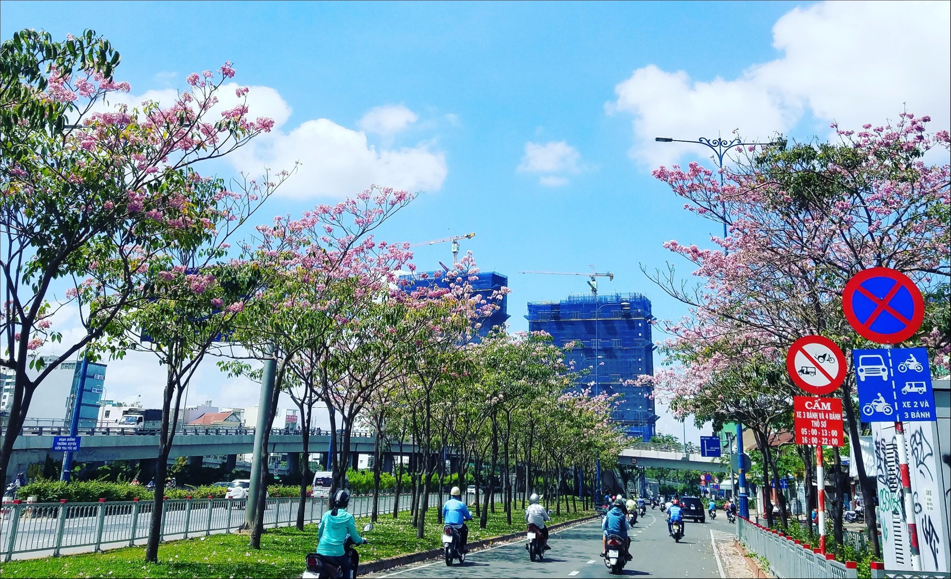 Những mùa hoa tuyệt đẹp trong bộ ảnh Dấu ấn Việt Nam ảnh 7 Nhung mua hoa tuyet dep trong bo anh Dau an Viet Nam anh 7