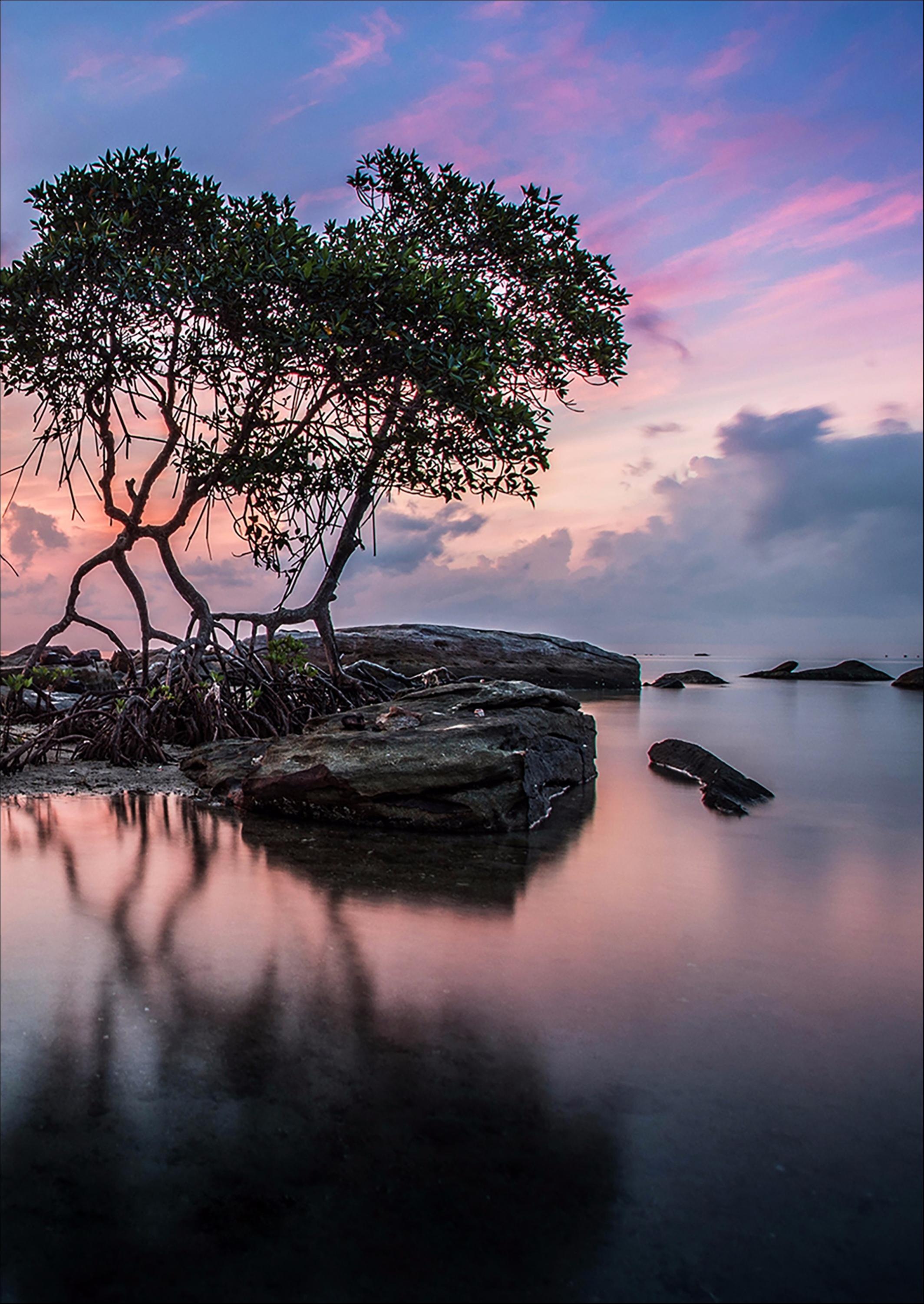 Phú Quốc đẹp huyền ảo trong bộ ảnh Dấu ấn Việt Nam ảnh 10 Phu Quoc dep huyen ao trong bo anh Dau an Viet Nam anh 10