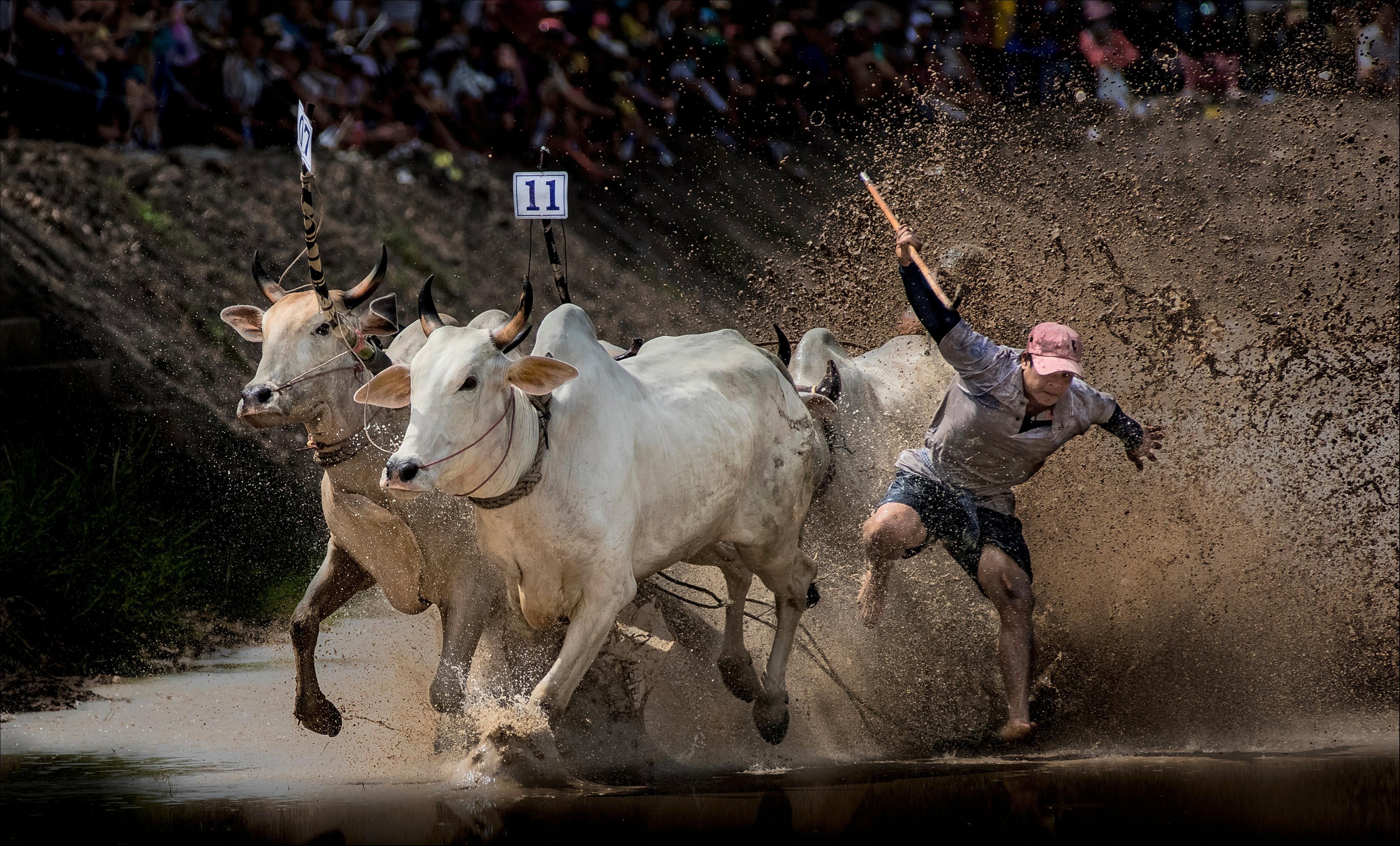 Miền sông nước An Giang trong bộ ảnh Dấu ấn Việt Nam ảnh 11 Mien song nuoc An Giang trong bo anh Dau an Viet Nam anh 11