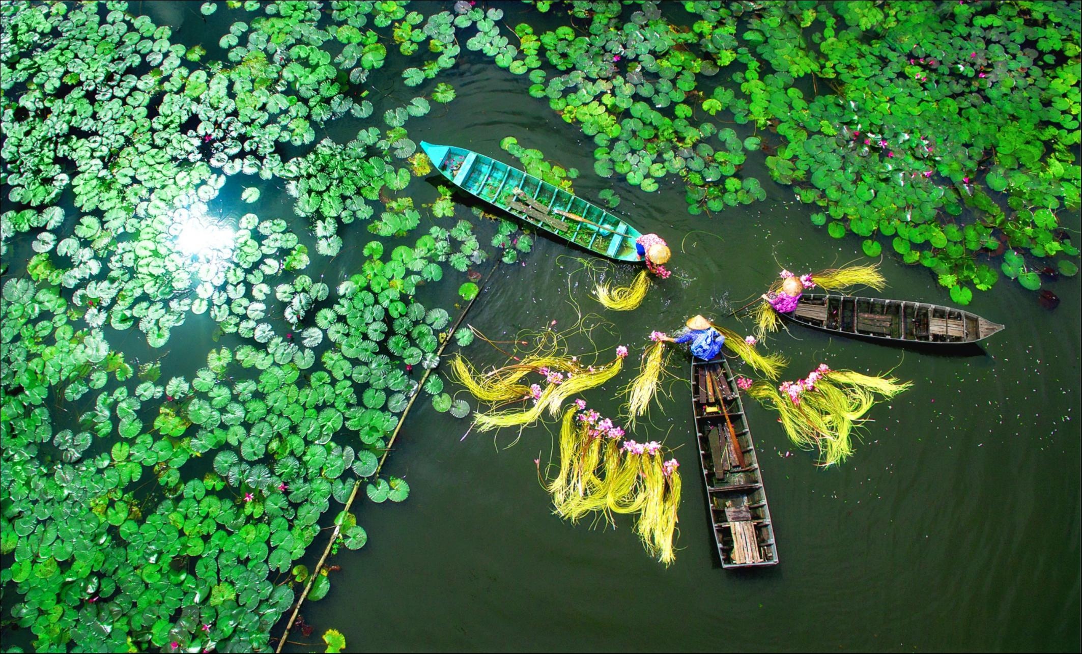 'Dau an Viet Nam: Ve mien song nuoc An Giang hinh anh