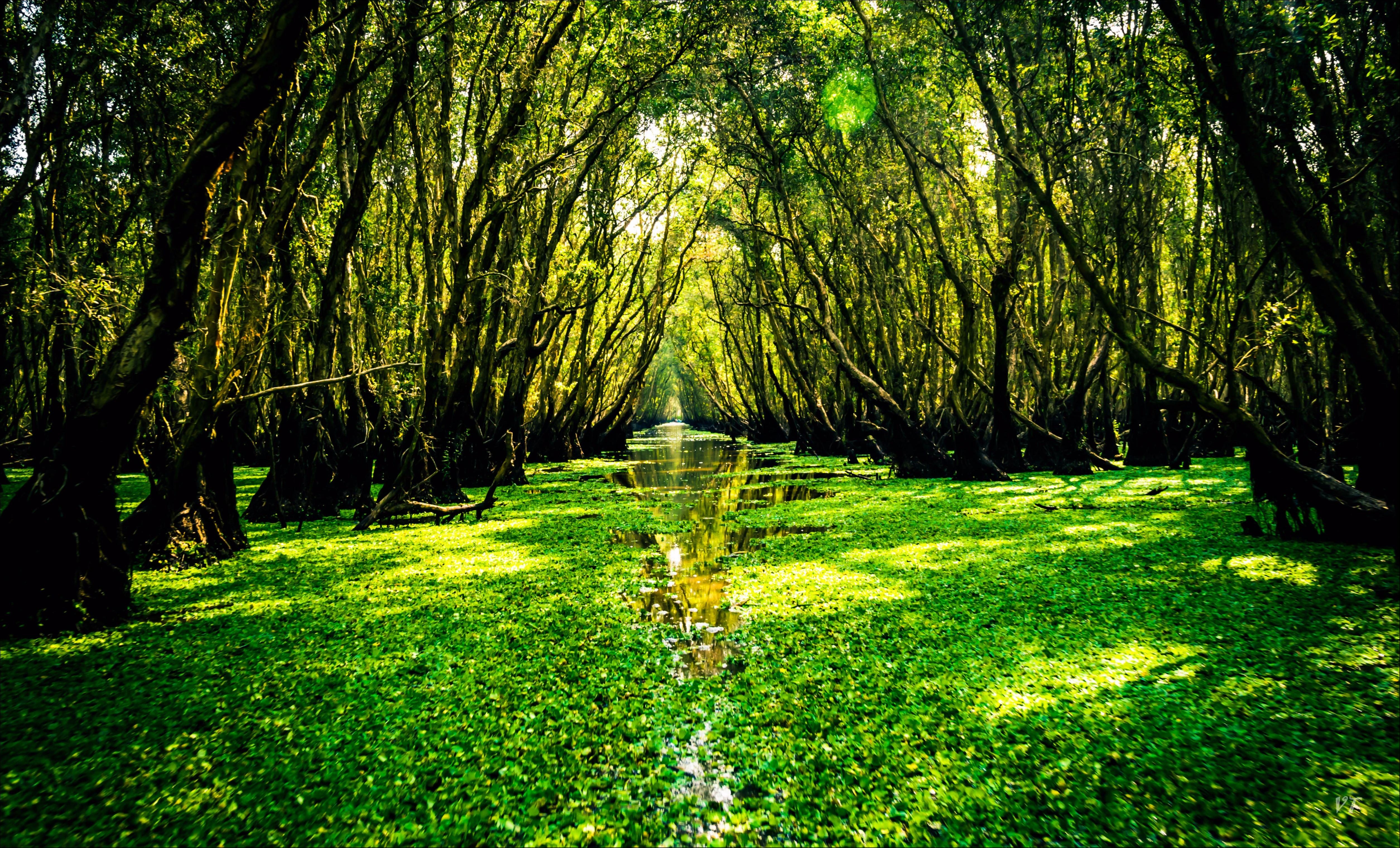 Miền sông nước An Giang trong bộ ảnh Dấu ấn Việt Nam ảnh 2 Mien song nuoc An Giang trong bo anh Dau an Viet Nam anh 2