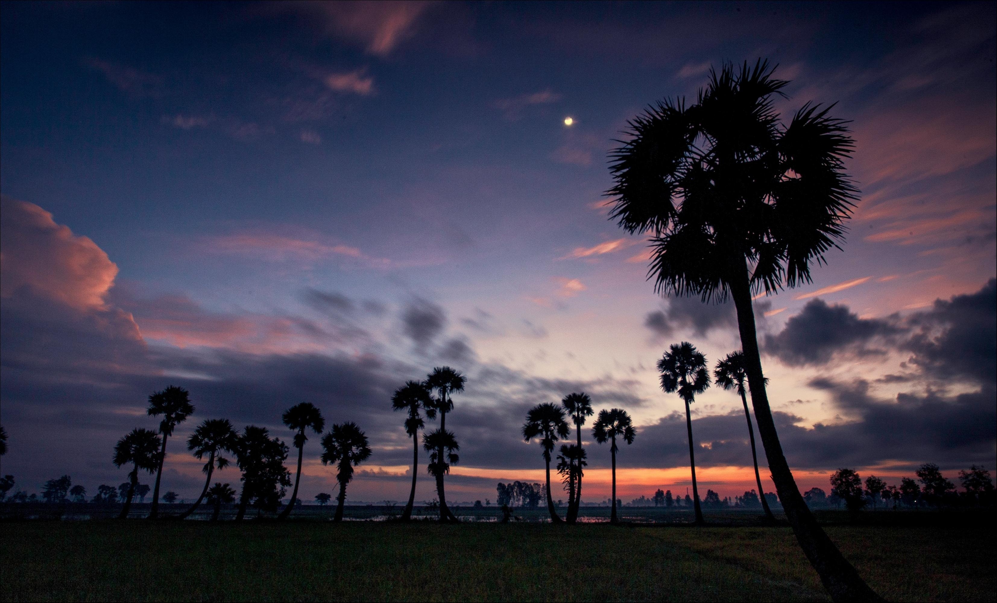 Miền sông nước An Giang trong bộ ảnh Dấu ấn Việt Nam ảnh 6 Mien song nuoc An Giang trong bo anh Dau an Viet Nam anh 6