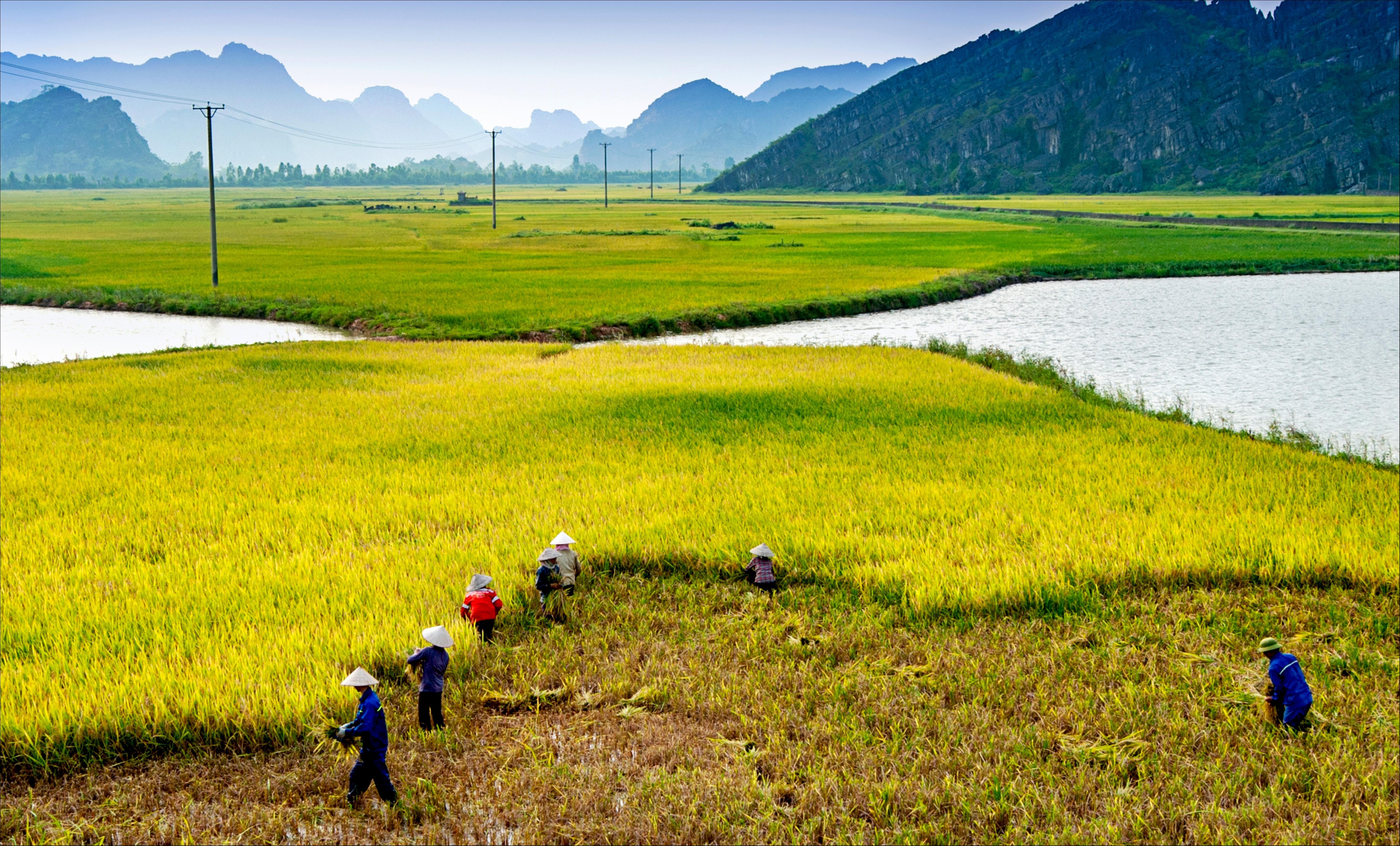 Ninh Bình tươi đẹp trong bộ ảnh Dấu ấn Việt Nam ảnh 12 Ninh Binh tuoi dep trong bo anh Dau an Viet Nam anh 12