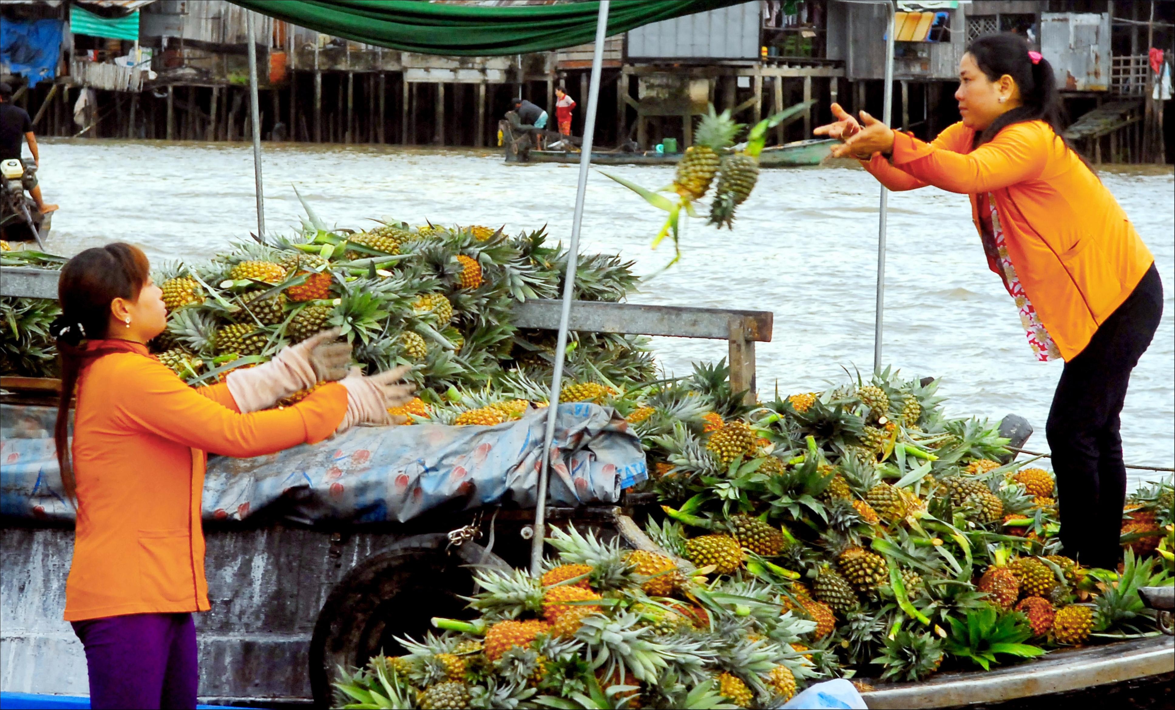 Can Tho trong bo anh Dau an Viet Nam anh 13