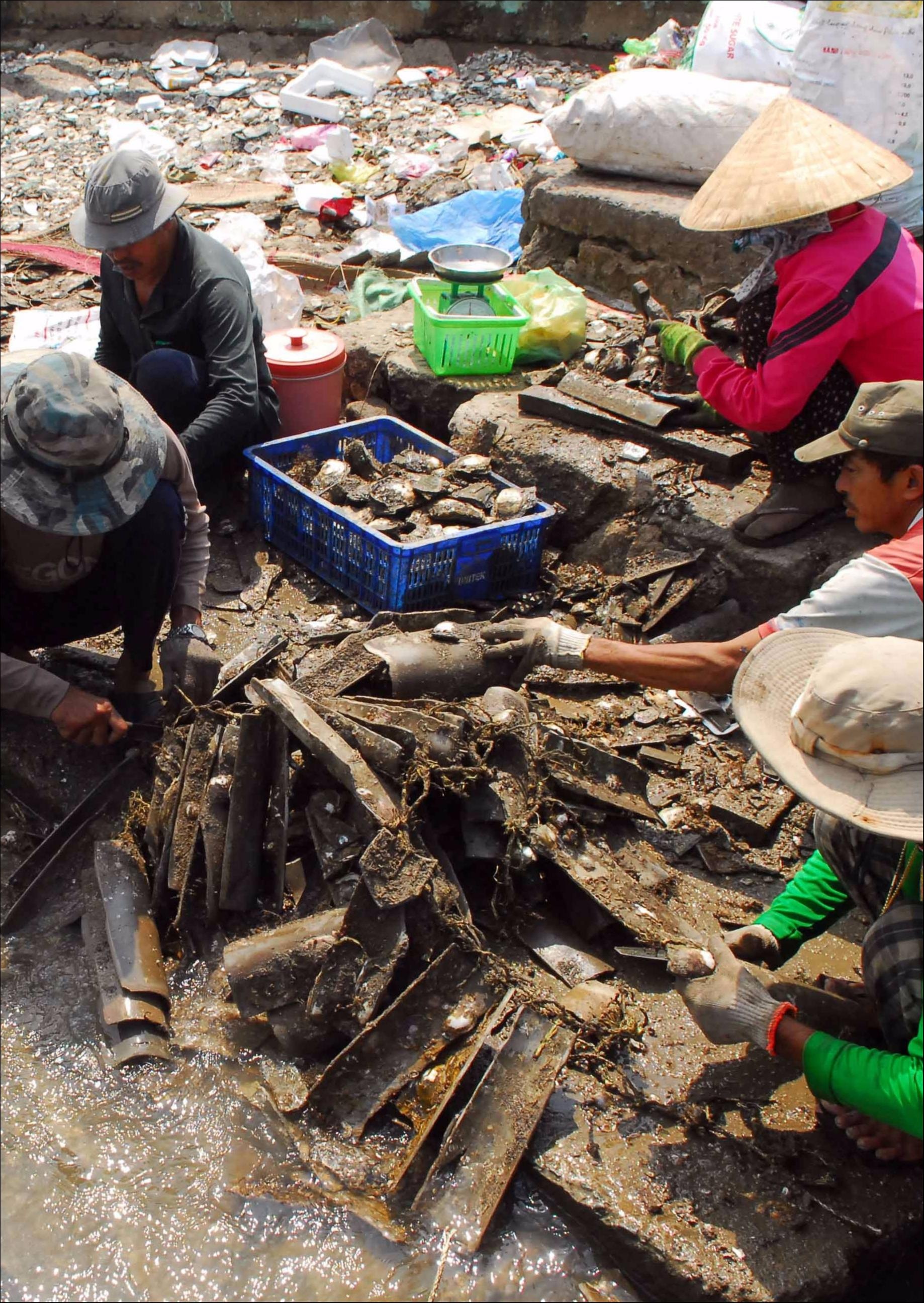 Đảo Thạnh An yên bình trong bộ ảnh Dấu ấn Việt Nam ảnh 7 Dao Thanh An yen binh trong bo anh Dau an Viet Nam anh 7