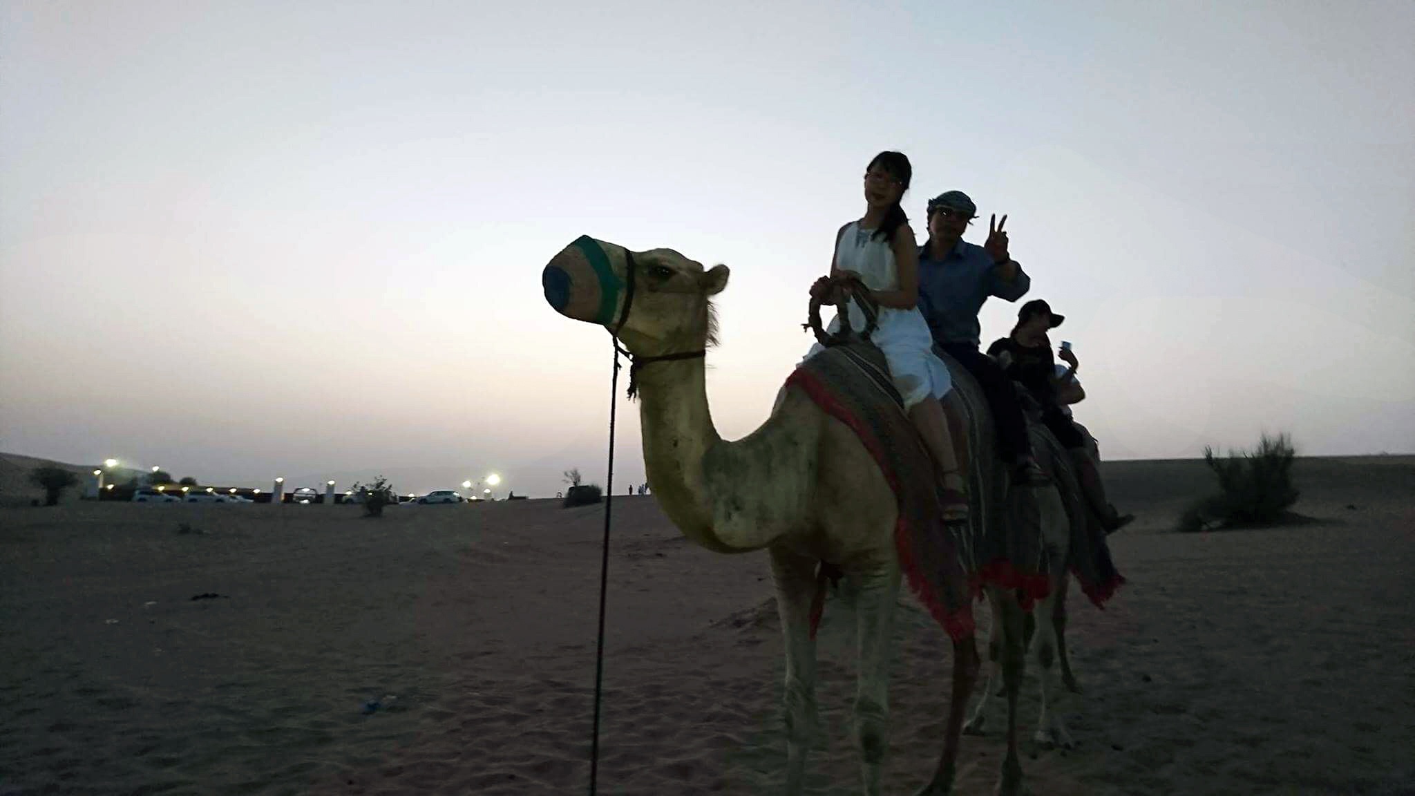 Trai nghiem cua nguoi Viet tai Dubai anh 16