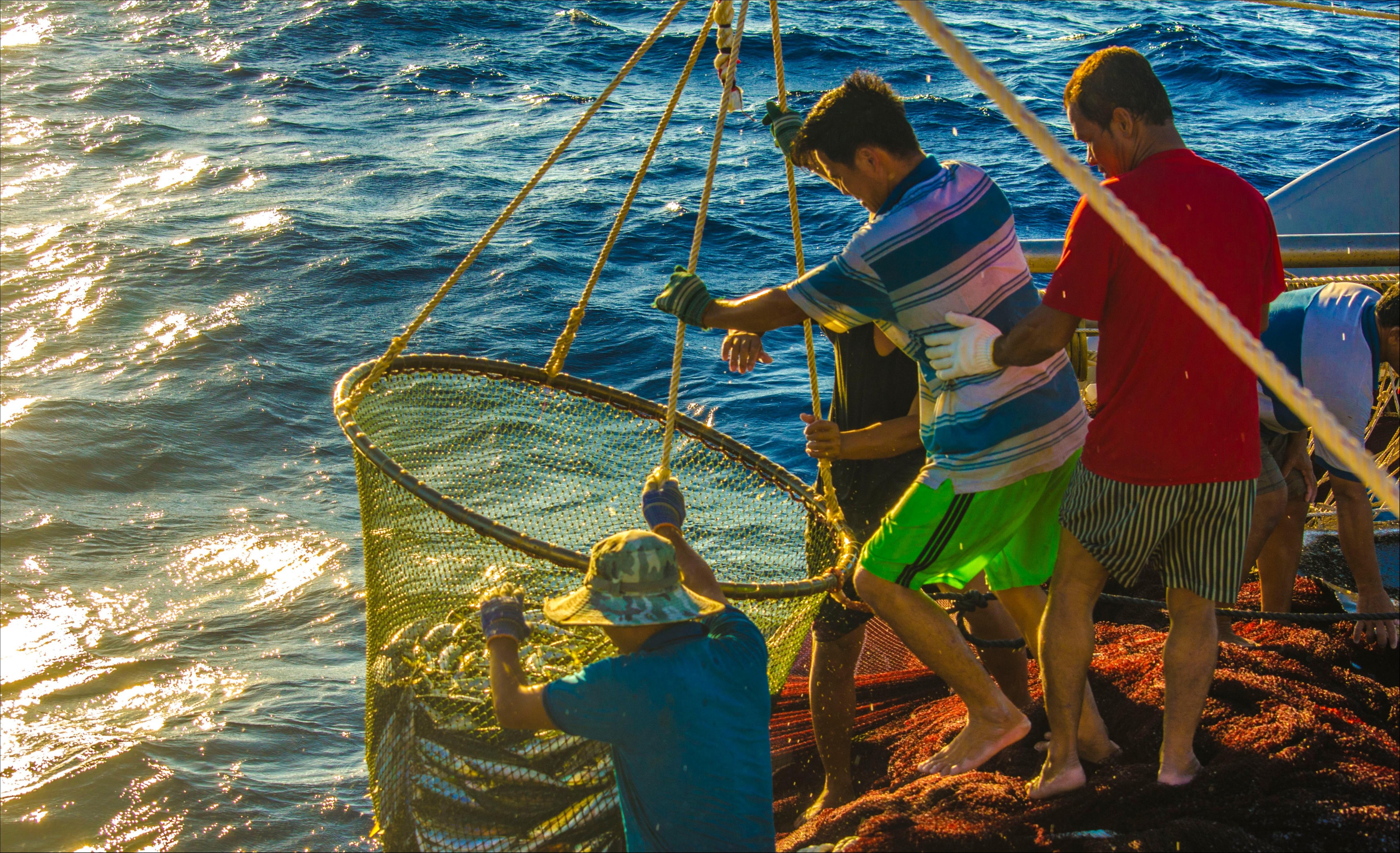 Nhung de tai duoc lua chon nhieu trong cuoc thi Dau an Viet Nam anh 2