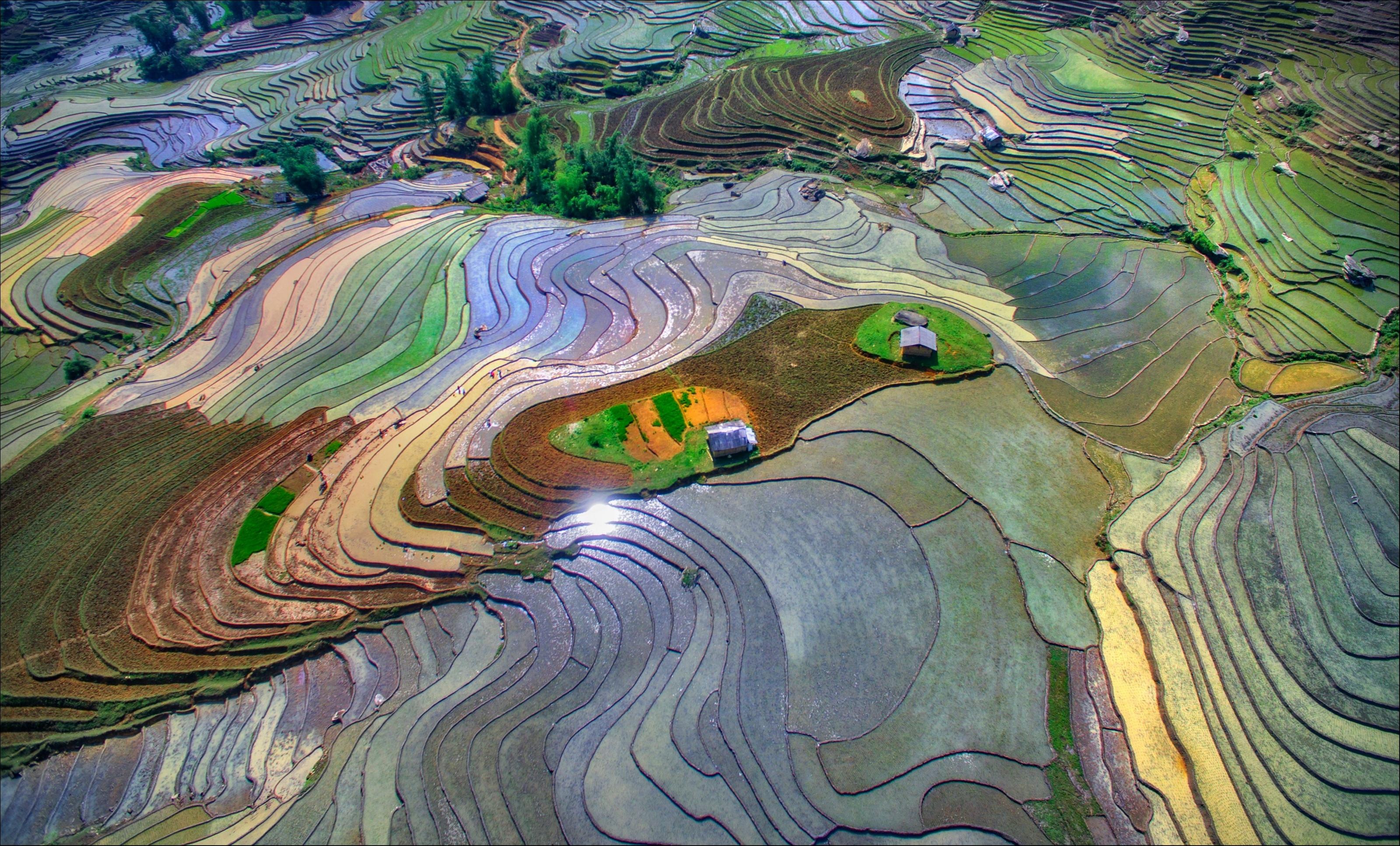 Nhung de tai duoc lua chon nhieu trong cuoc thi Dau an Viet Nam anh 3