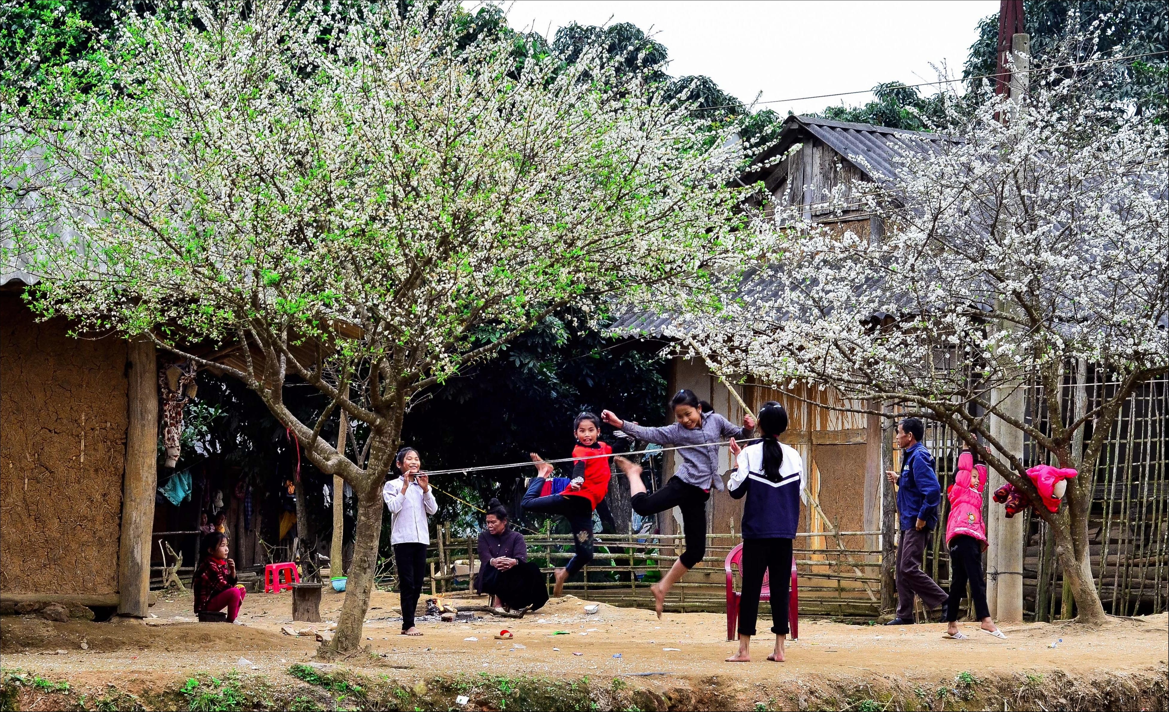 Nhung de tai duoc lua chon nhieu trong cuoc thi Dau an Viet Nam anh 5