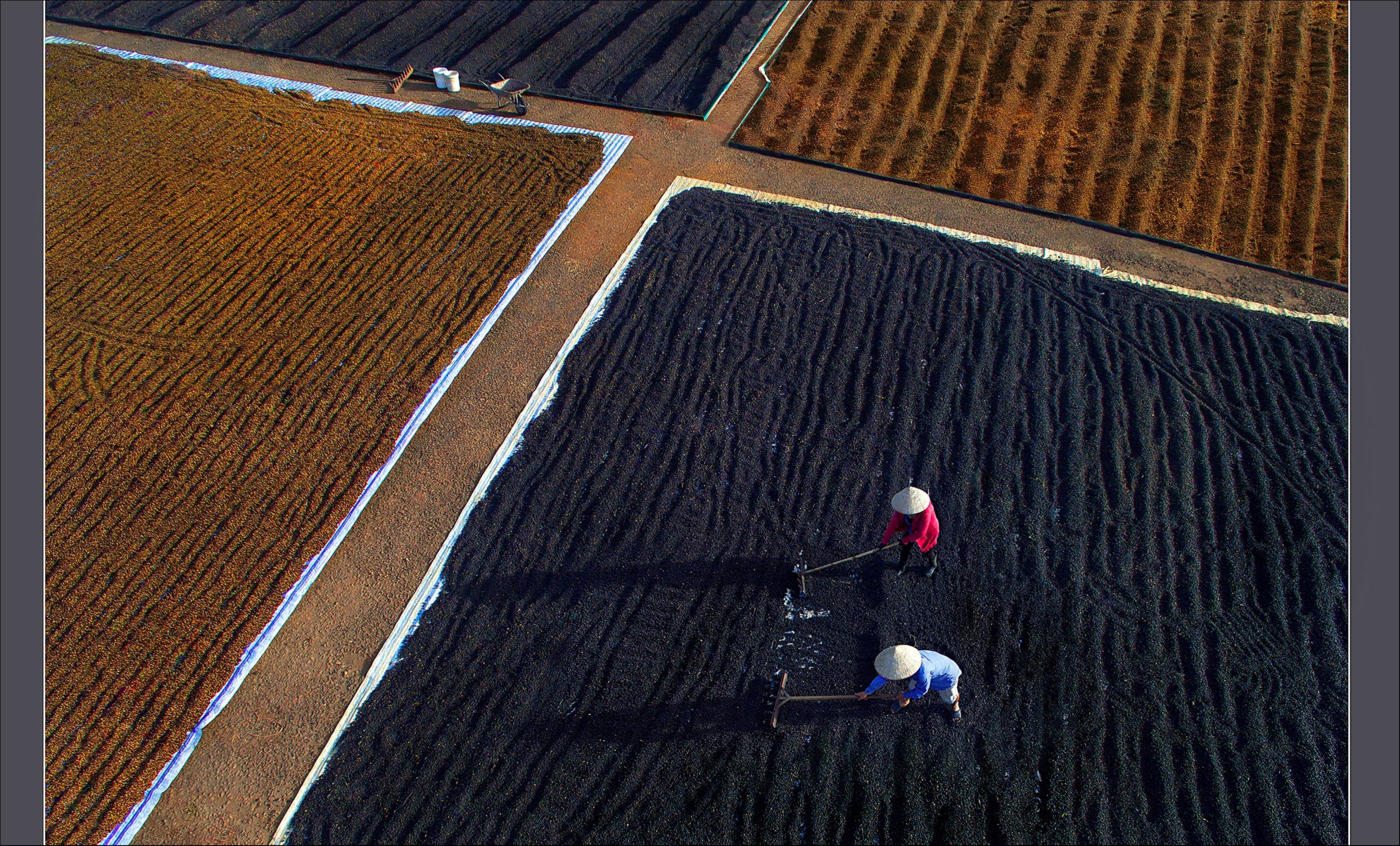 Nhung de tai duoc lua chon nhieu trong cuoc thi Dau an Viet Nam anh 6