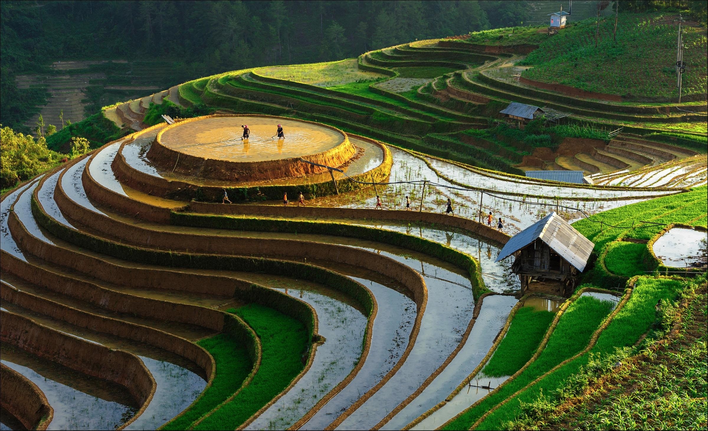 Top 20 anh tot nhat cuoc thi Dau an Viet Nam do giam khao binh chon anh 14