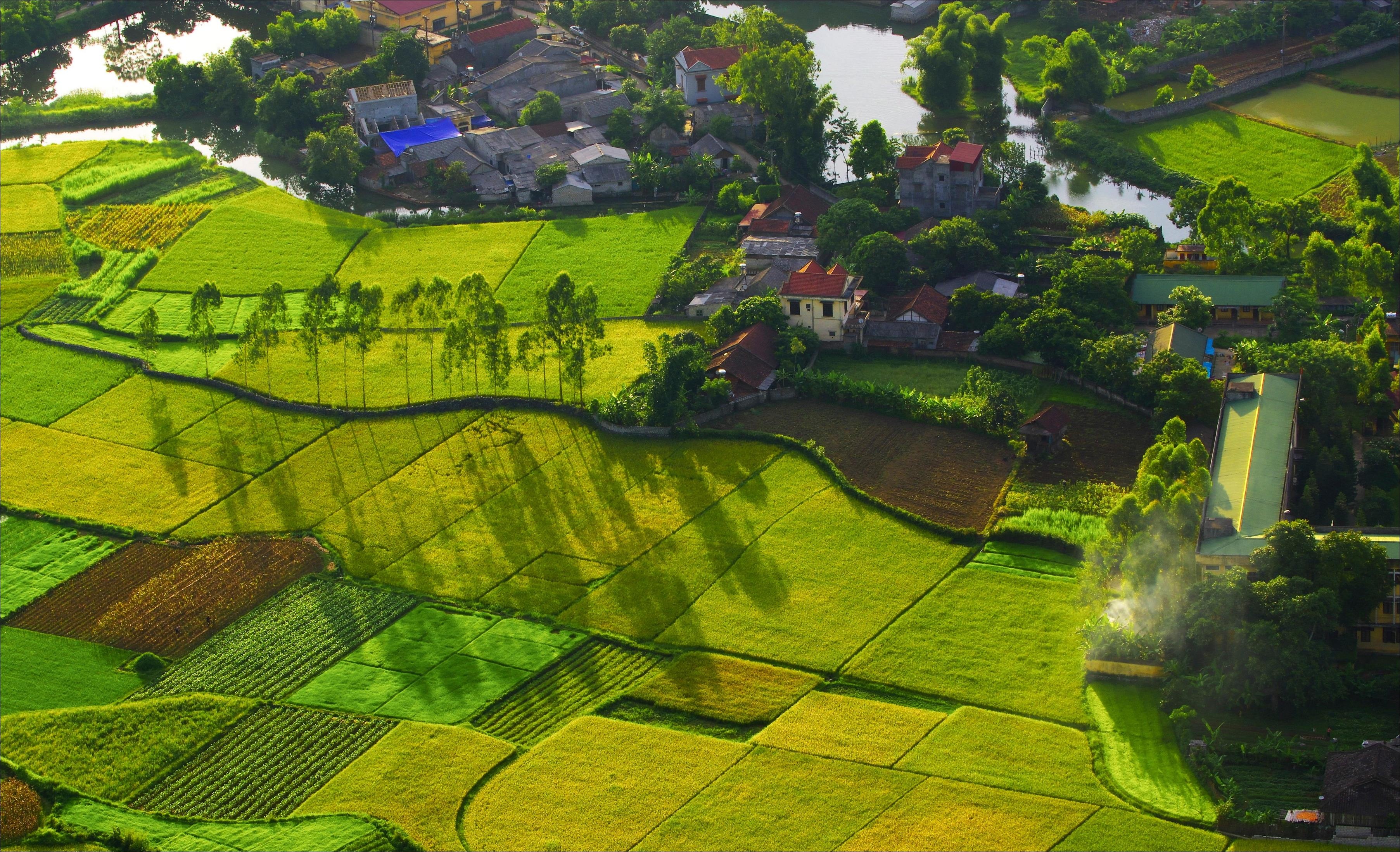 Top 20 anh tot nhat cuoc thi Dau an Viet Nam do giam khao binh chon anh 17