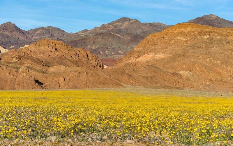 Diem du lich ruc ro sac mau tu nhien anh 13