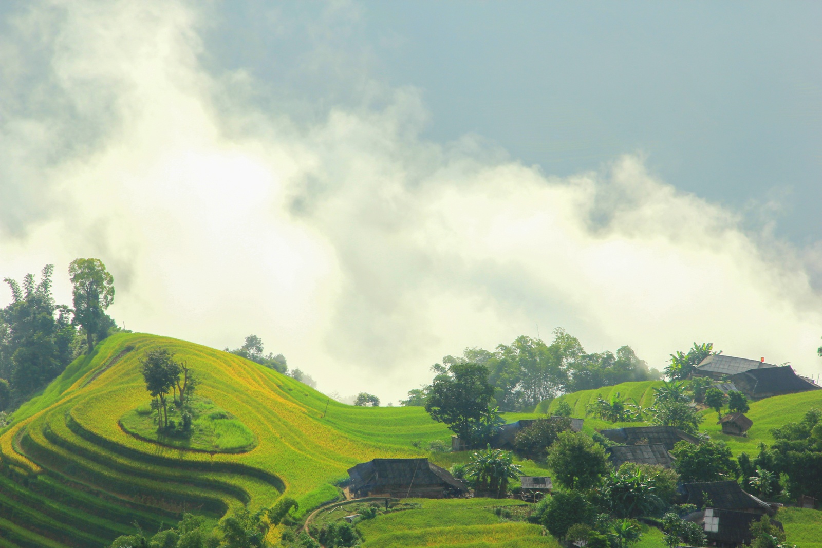 Qua deo vuot doc den Ban Phung ngam lua thu hinh anh