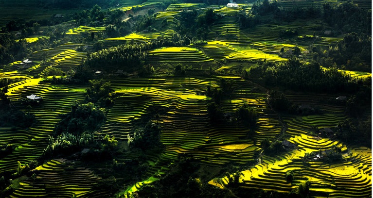 Trac nghiem cac diem du lich vao mua thu anh 1