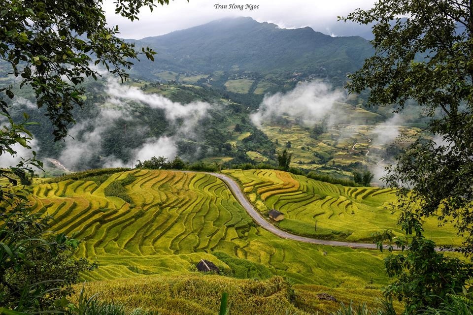 Trac nghiem: Di dau trong nhung ngay mua thu dat Viet? hinh anh