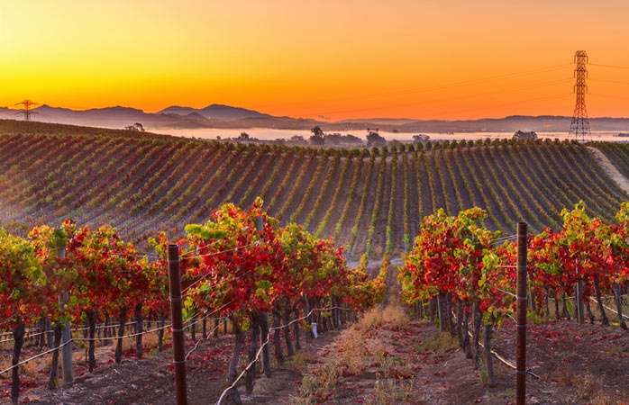 Nhung diem ngam la vang o My anh 5