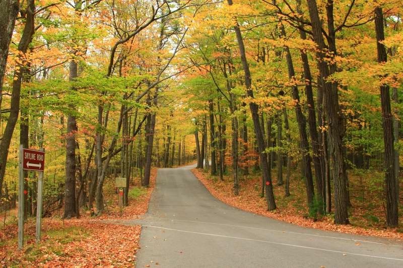 Nhung diem ngam la vang o My anh 7